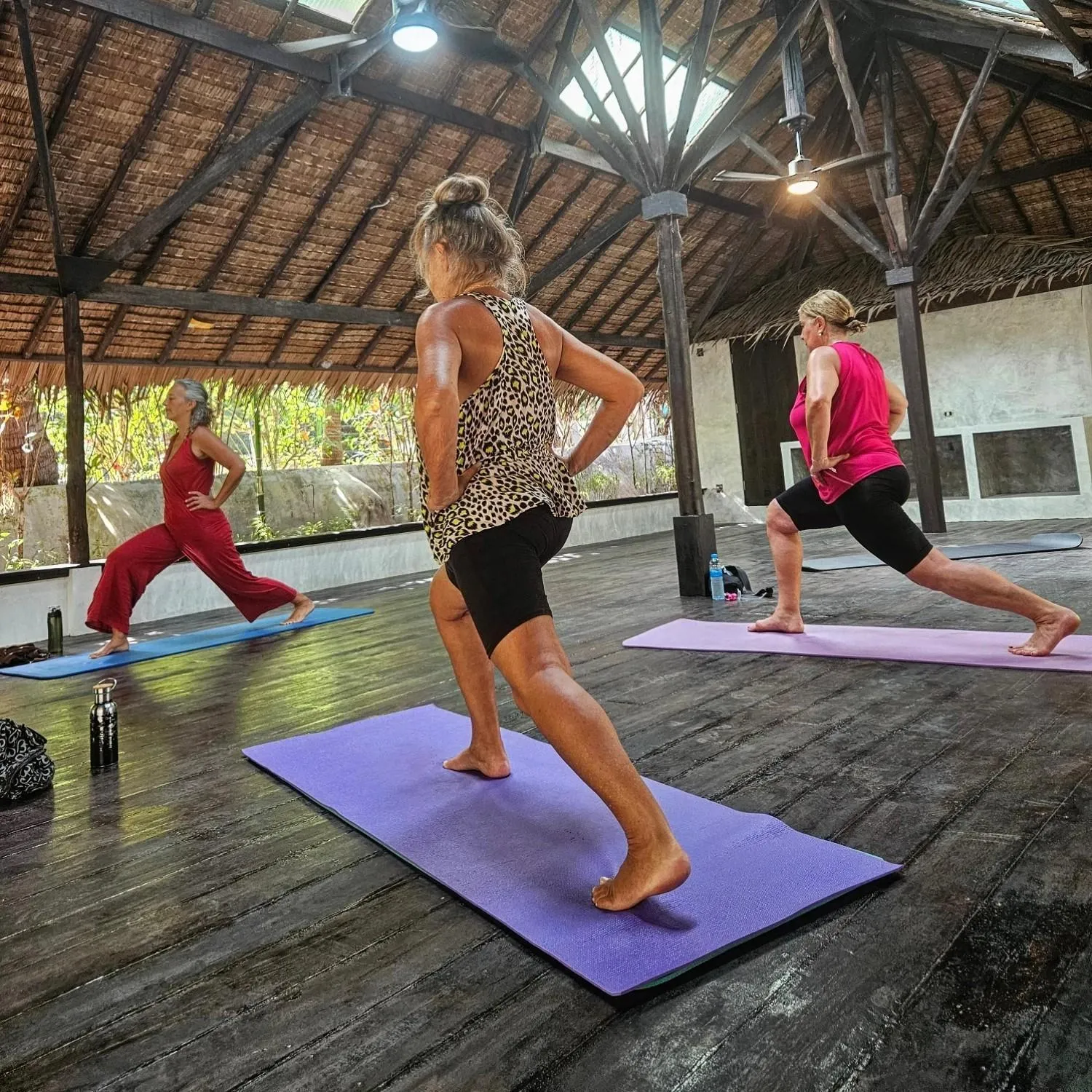 Fitness centre/facilities in Flower Power Farm Village