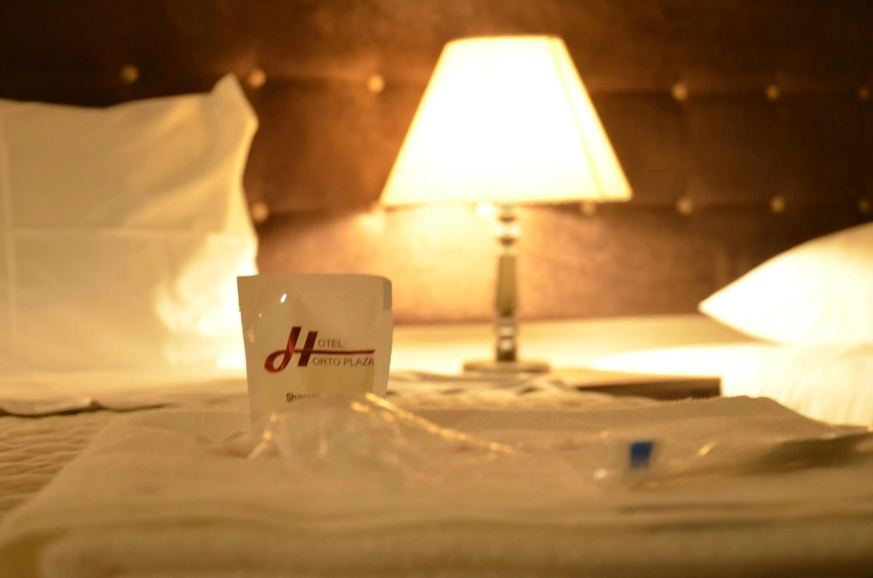 Property logo or sign, Bed in Hotel Horto Plaza