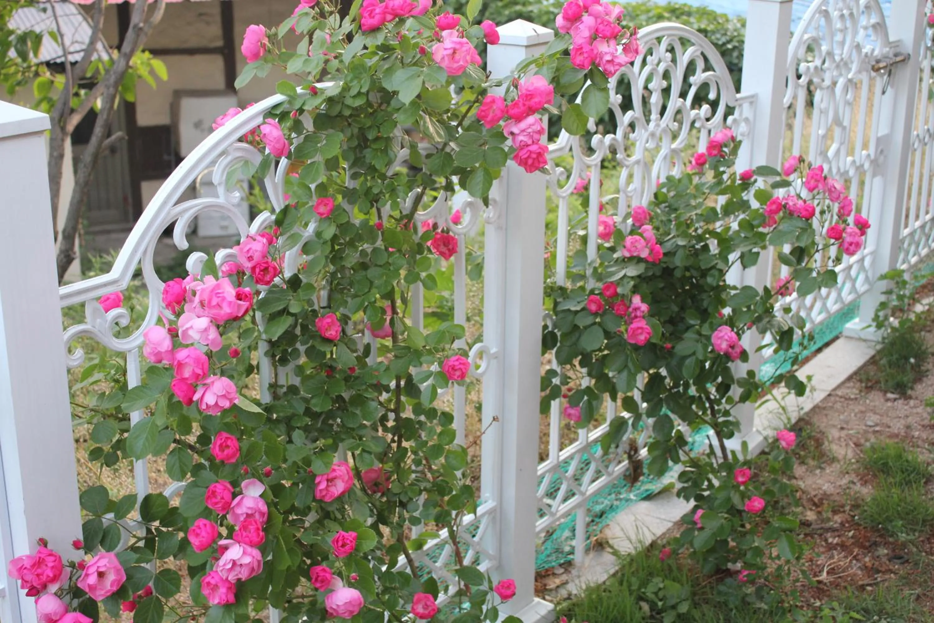 Natural landscape in With U Hotel & Guesthouse