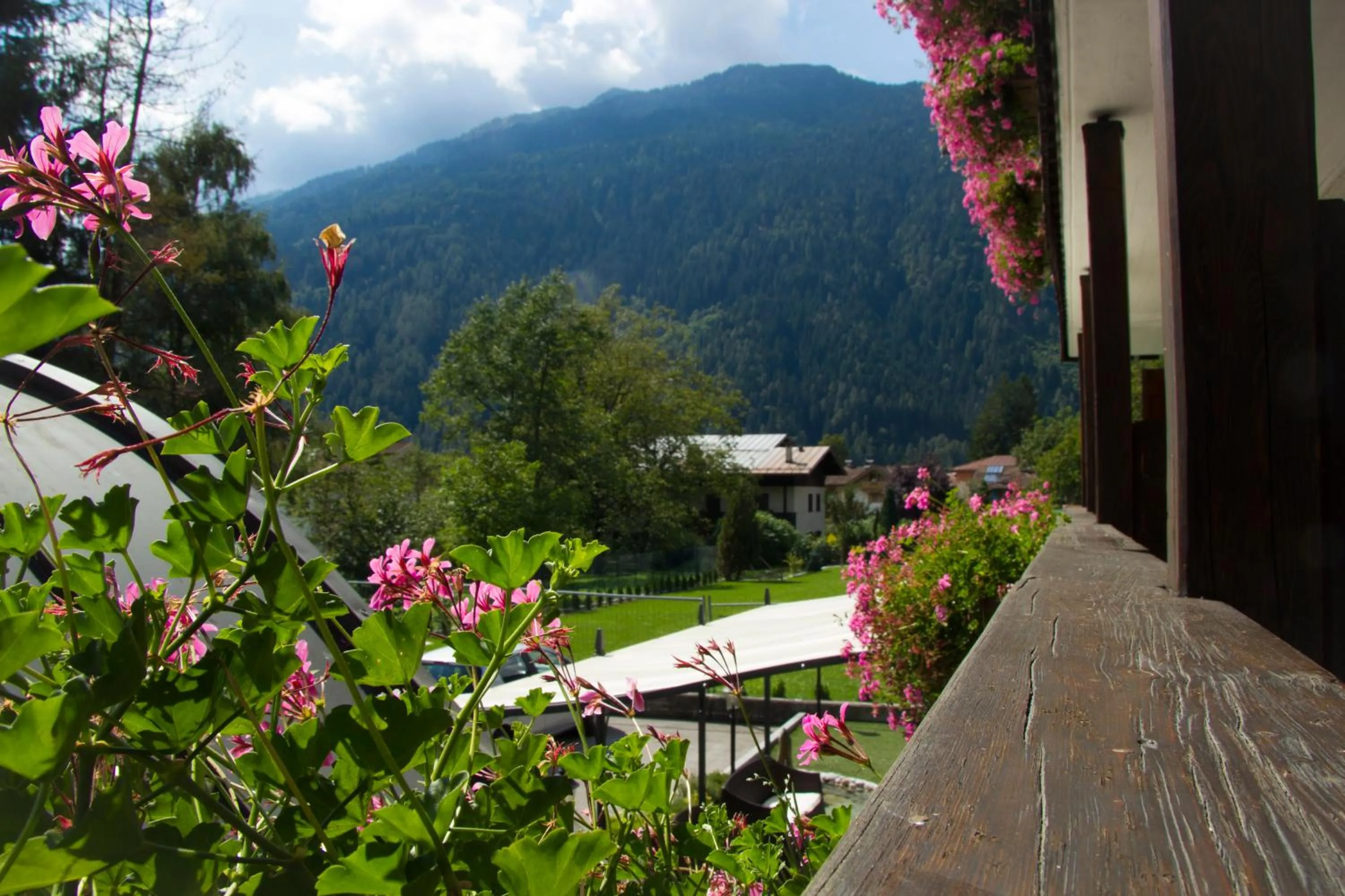Garden in Hotel Lory