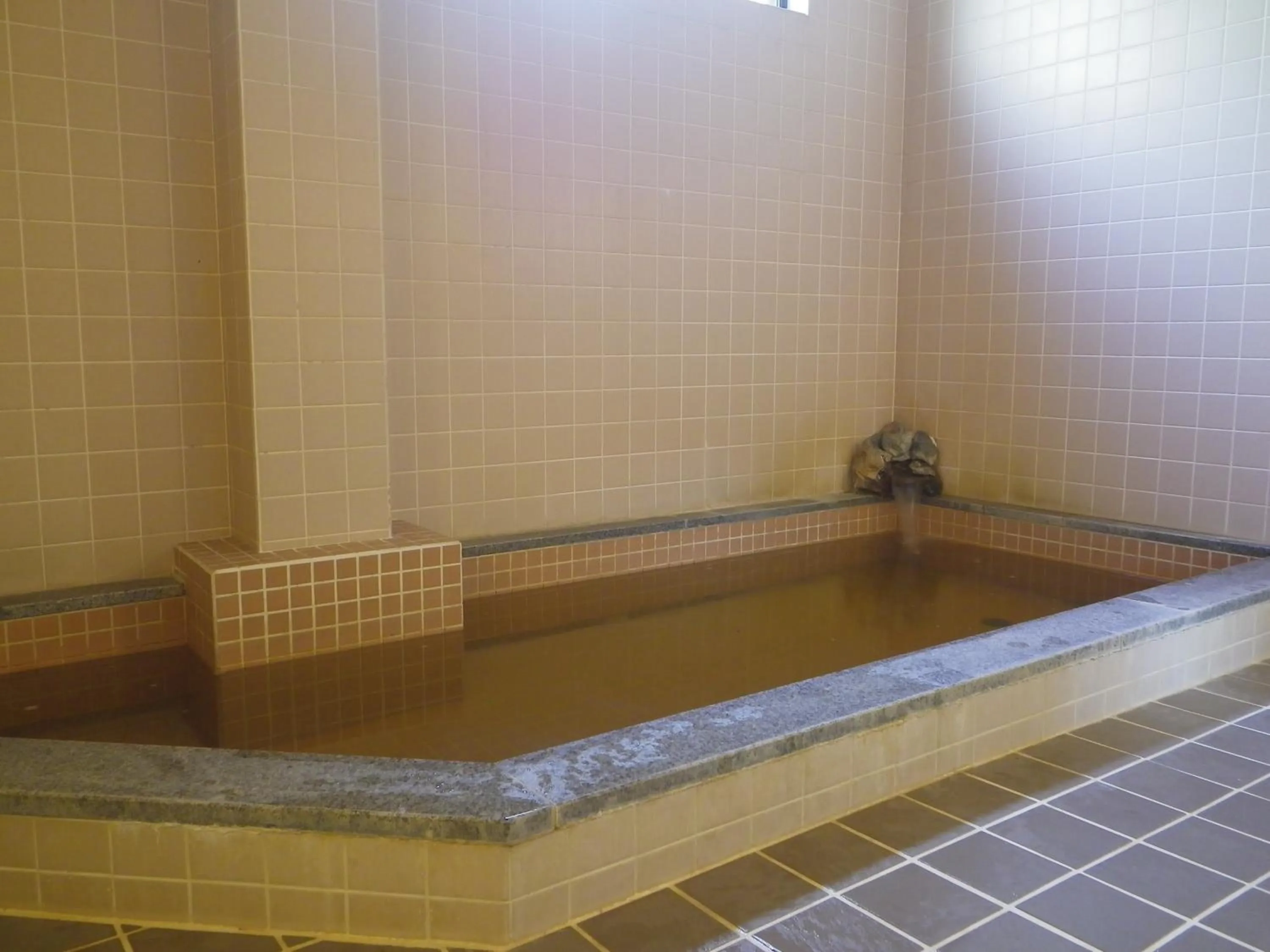 Skiing in Resort Inn Murata