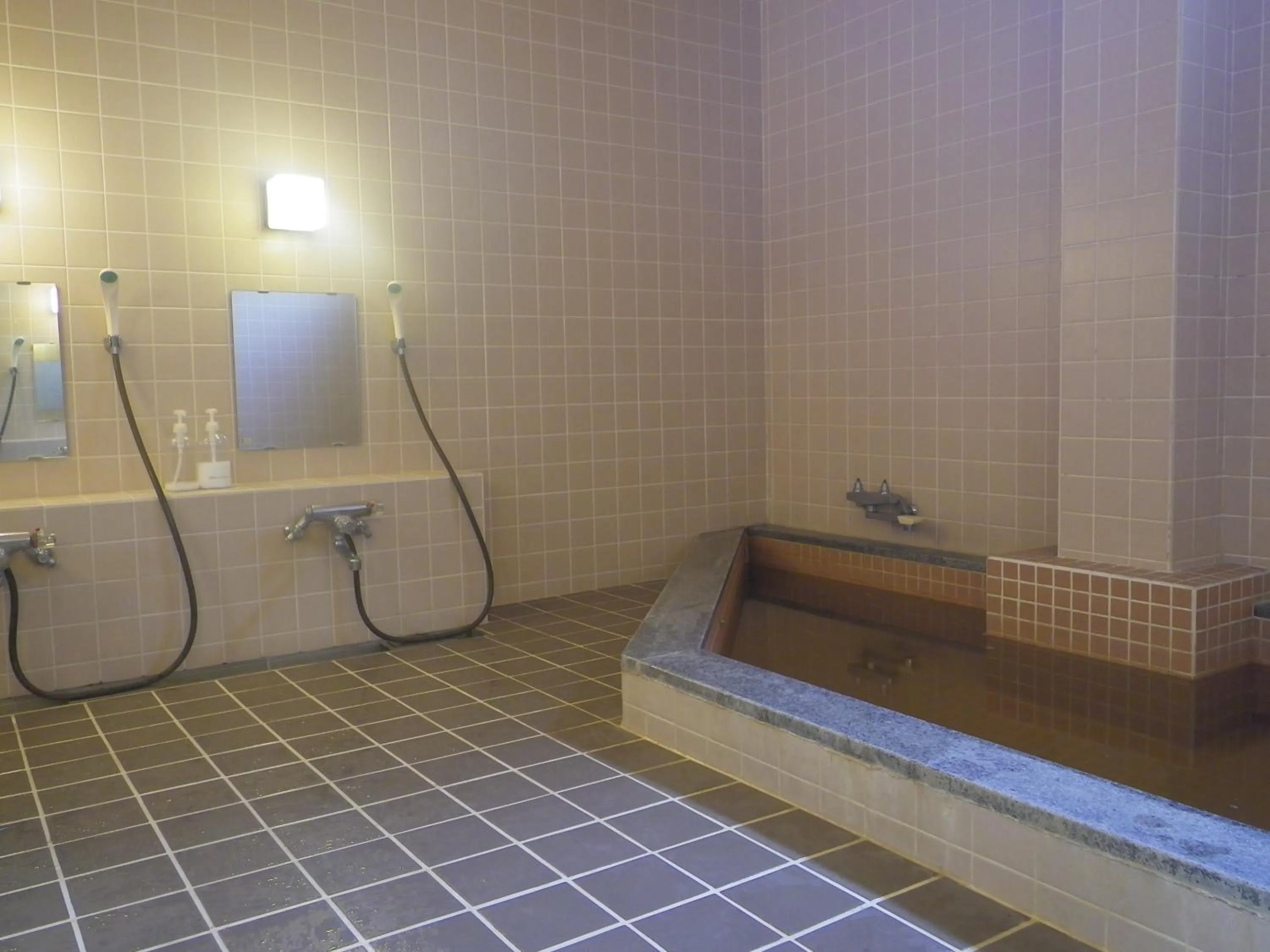 Skiing in Resort Inn Murata