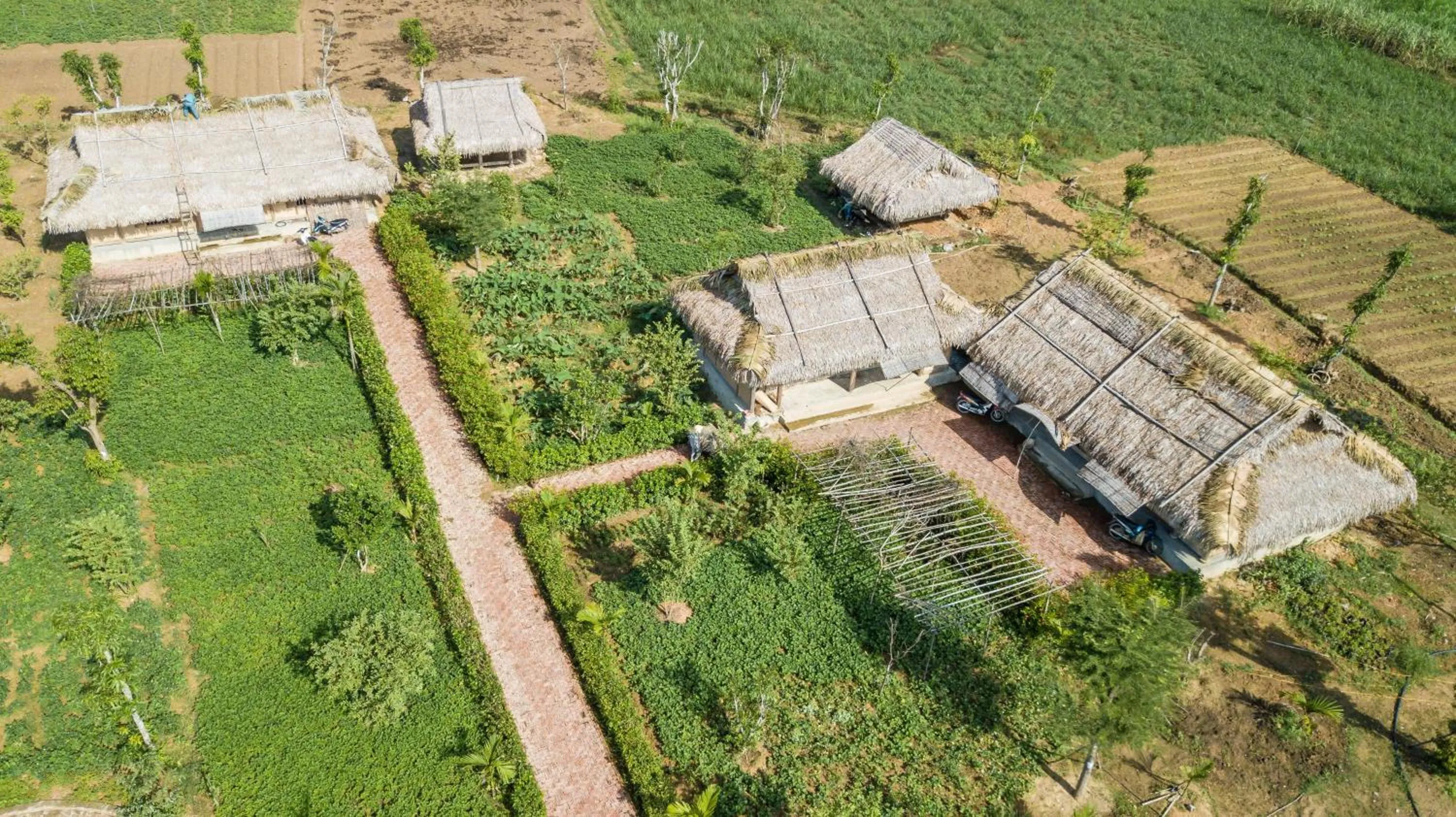 Garden in Muong Thanh Luxury Dien Lam