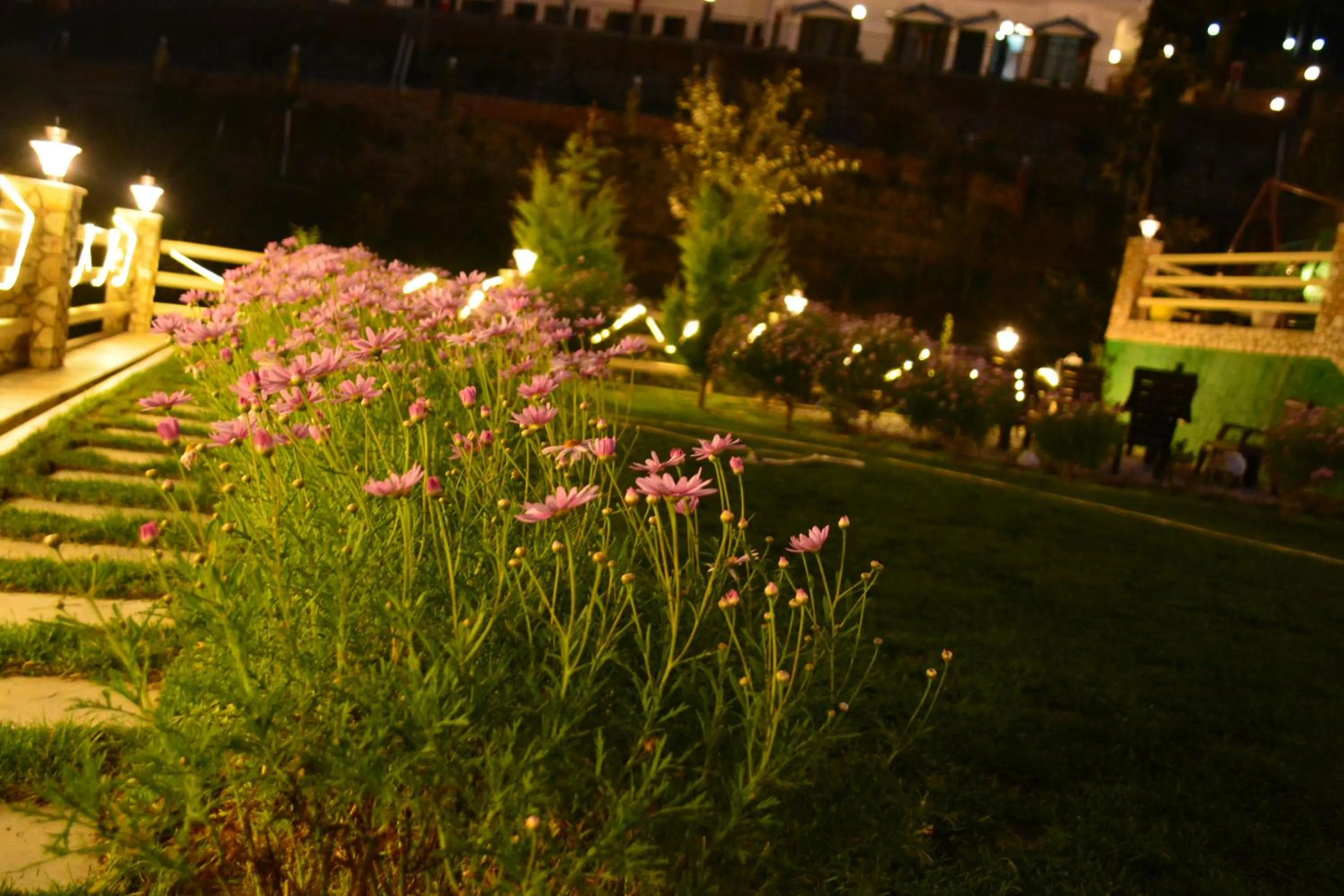 Garden in The Golden Peak, Hotel