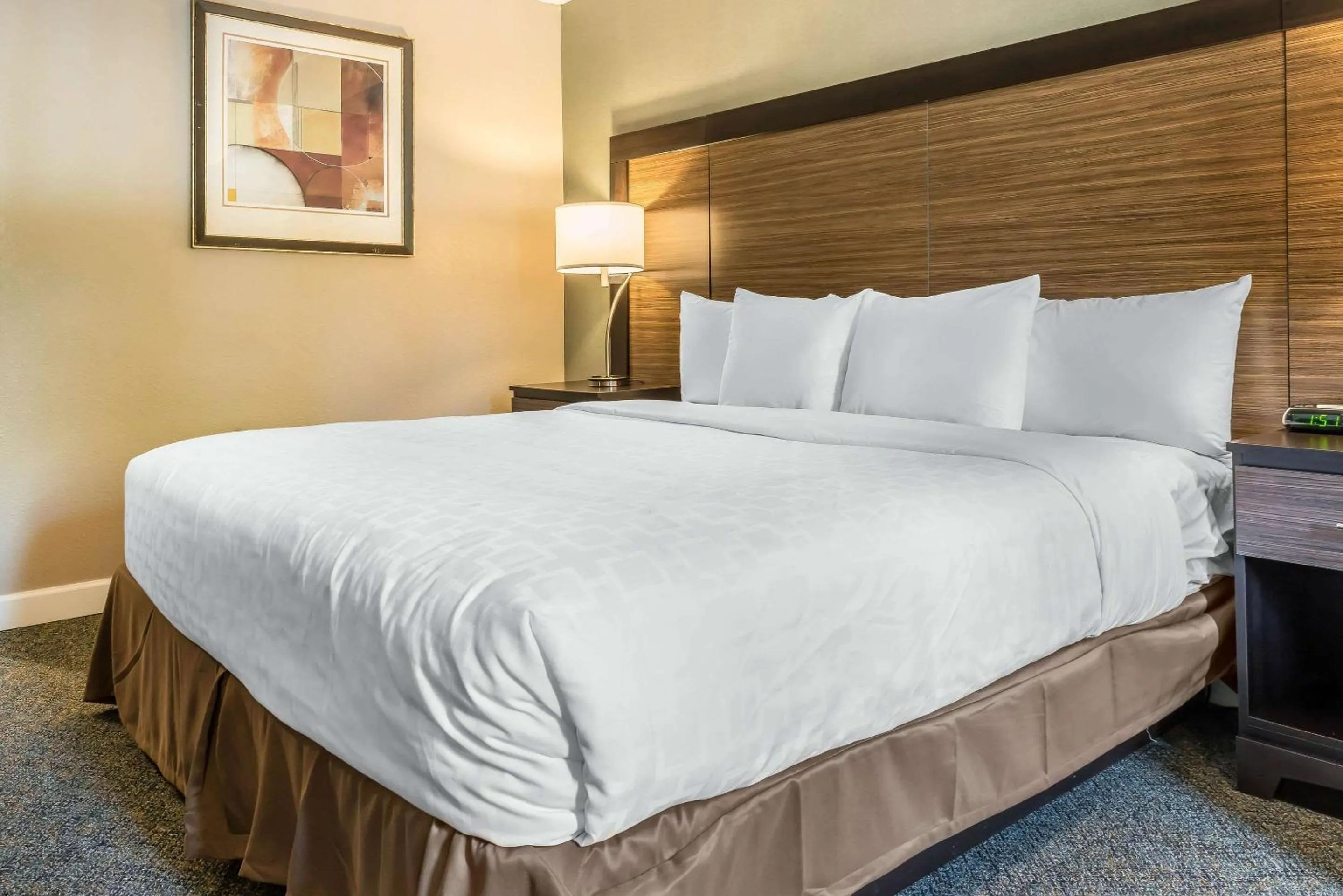 Bedroom, Bed in Clarion Inn Belle Vernon