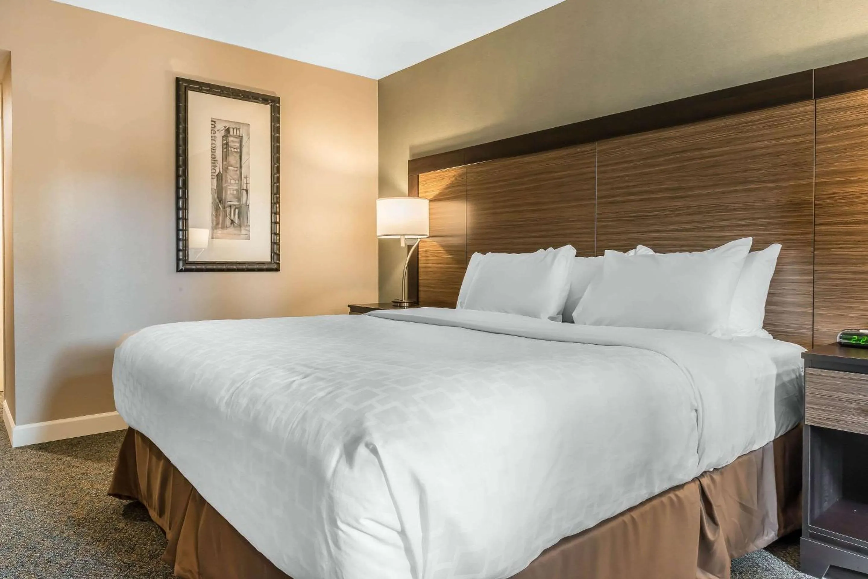 Bedroom, Bed in Clarion Inn Belle Vernon