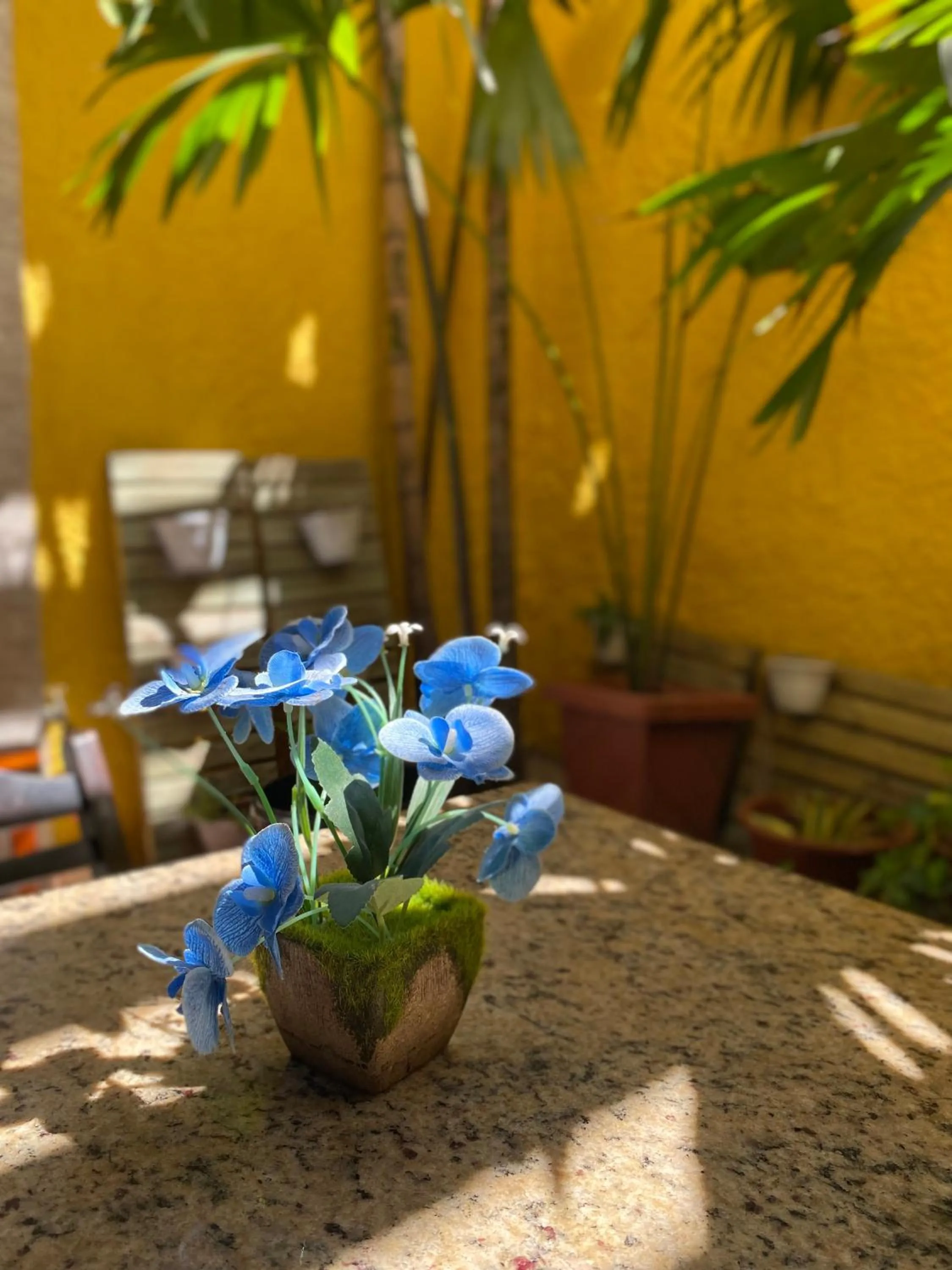 Area and facilities in Center 1 Hotel