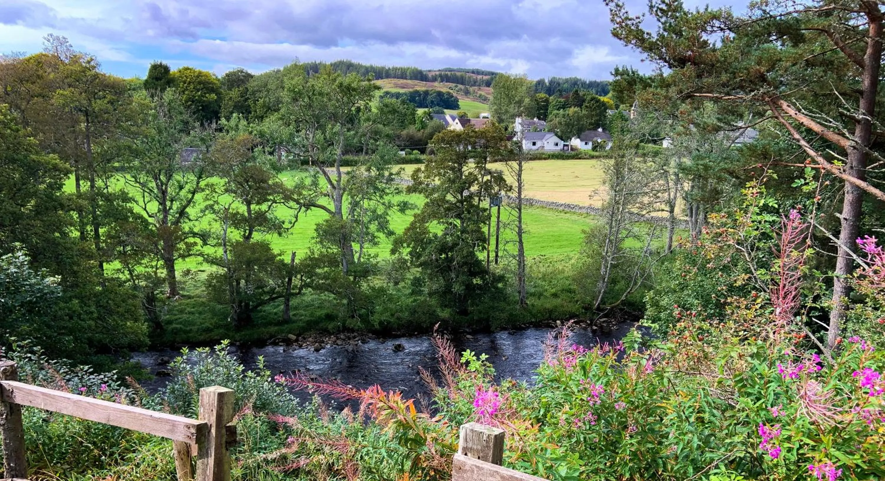 View (from property/room) in Strathardle Lodge