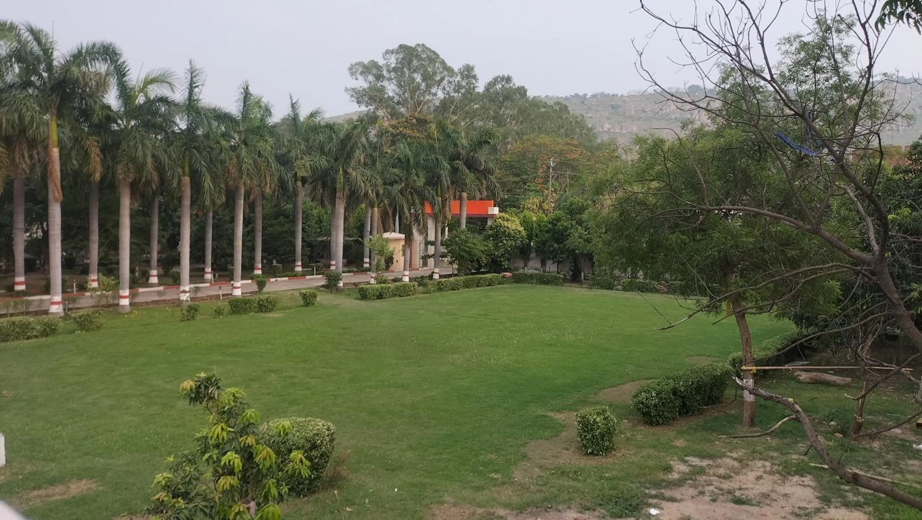 Garden view in The Rajgir Residency