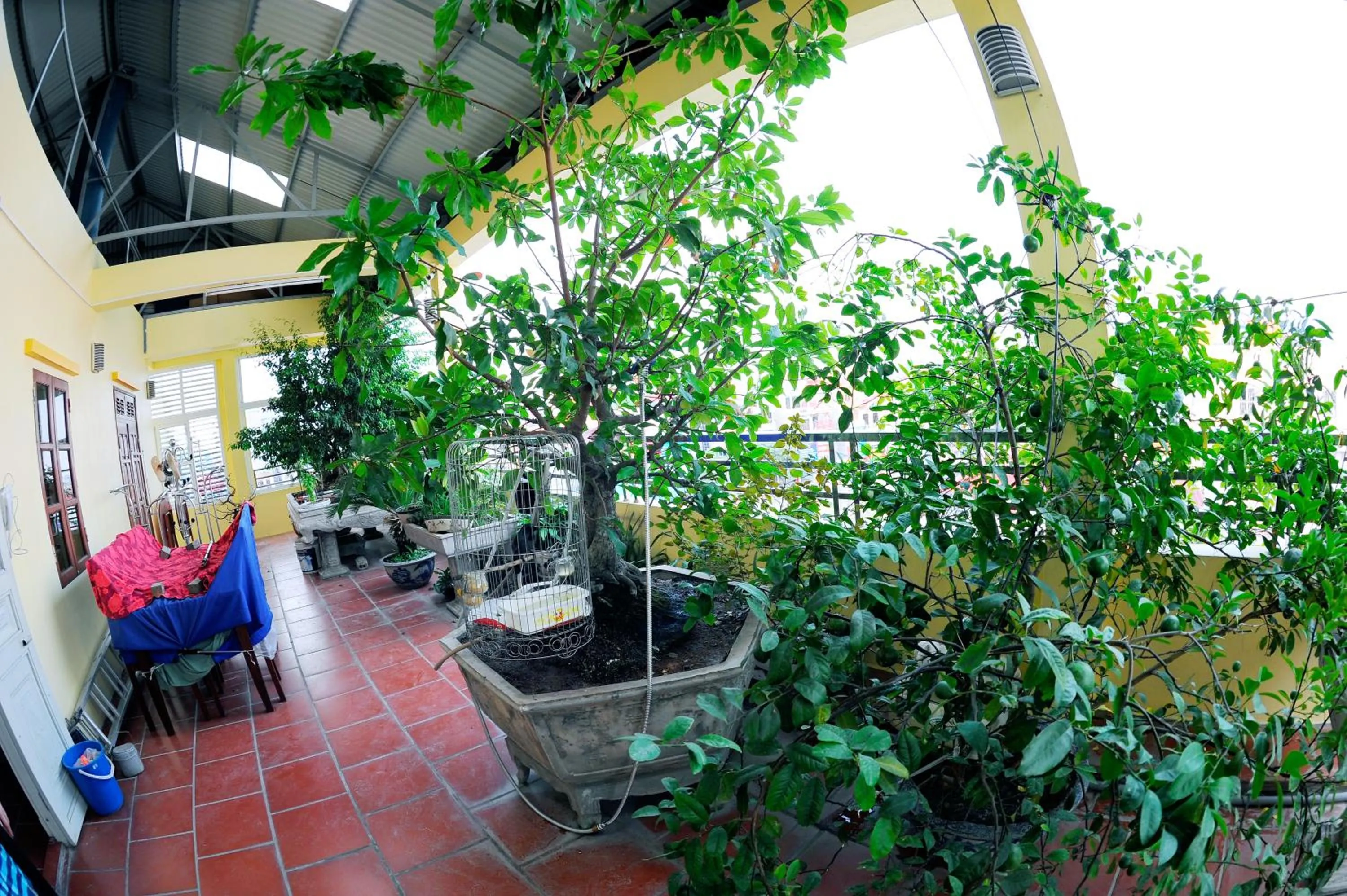 Balcony/Terrace in Binh Minh Hotel