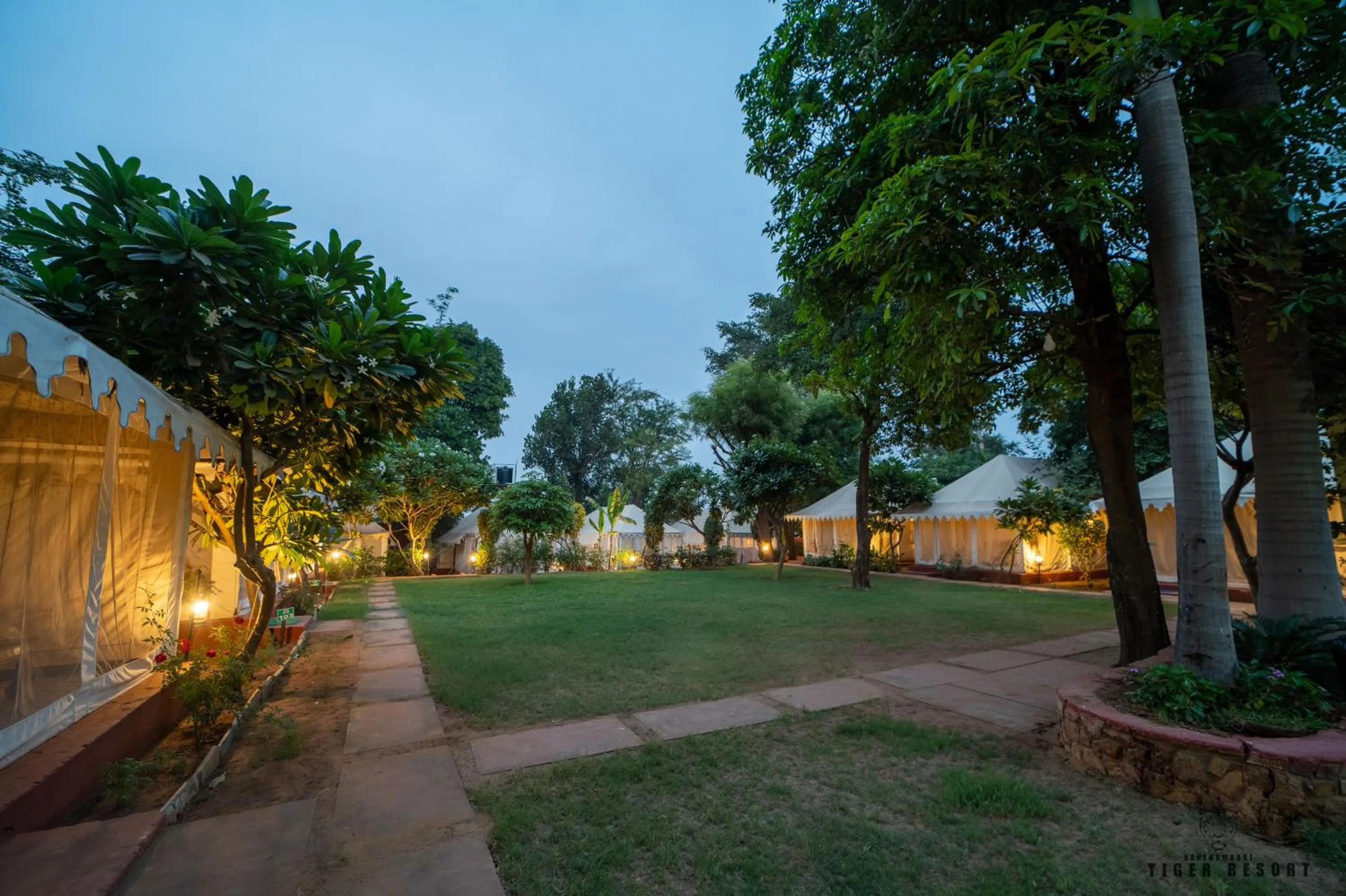 Night in Ranthambore Tiger Resort