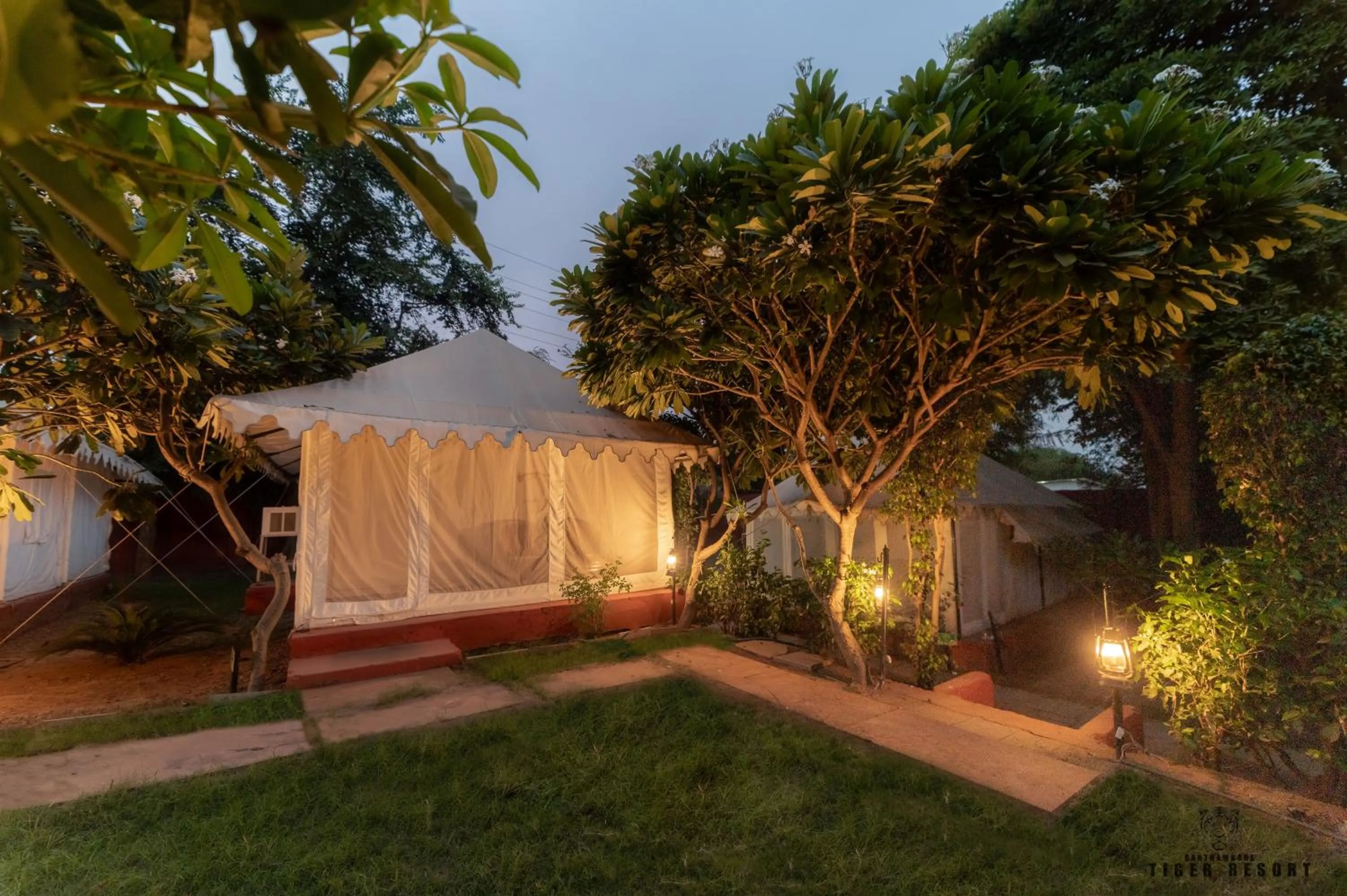 Night in Ranthambore Tiger Resort