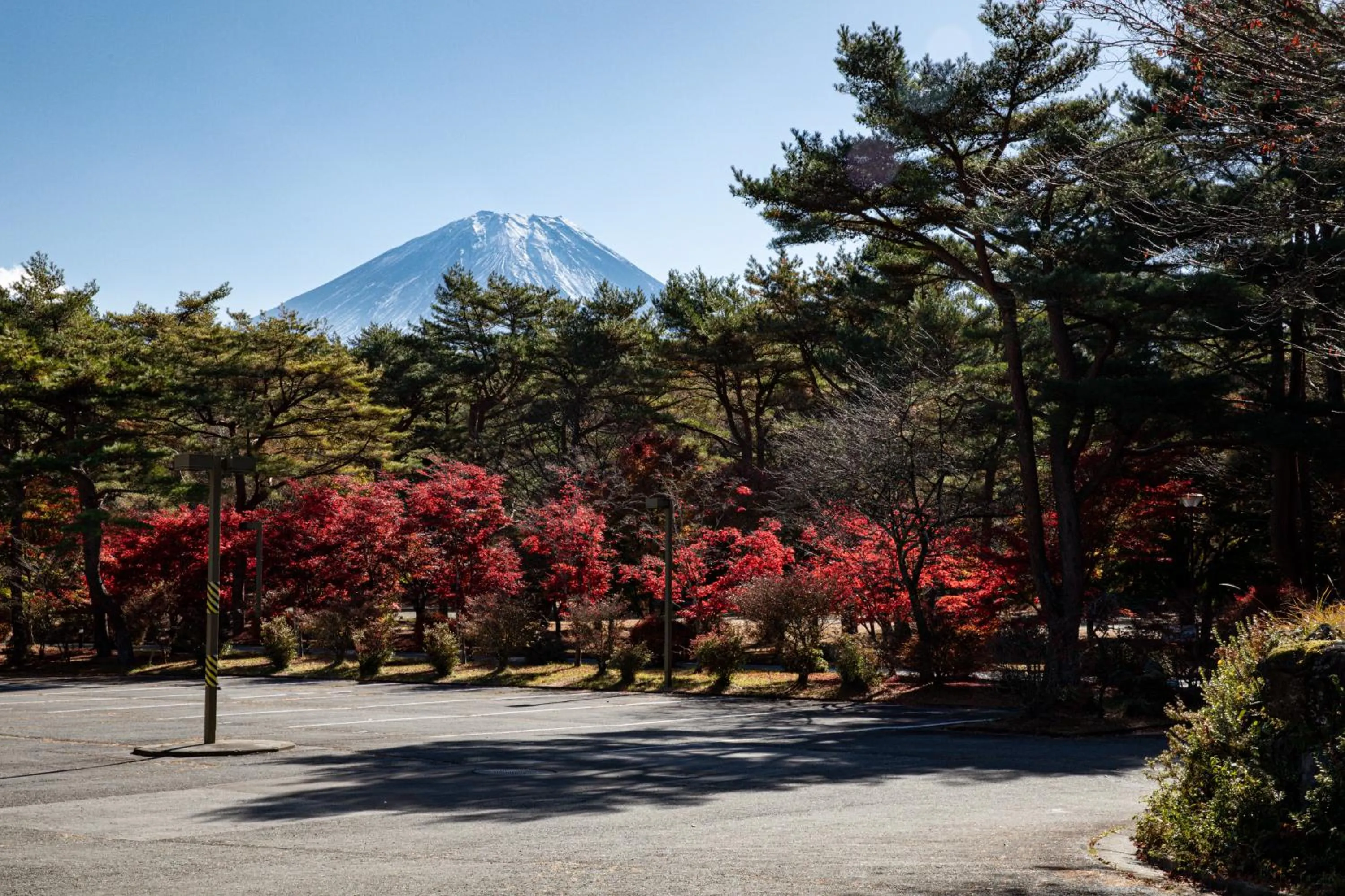 Spring in Motosu Phoenix Hotel