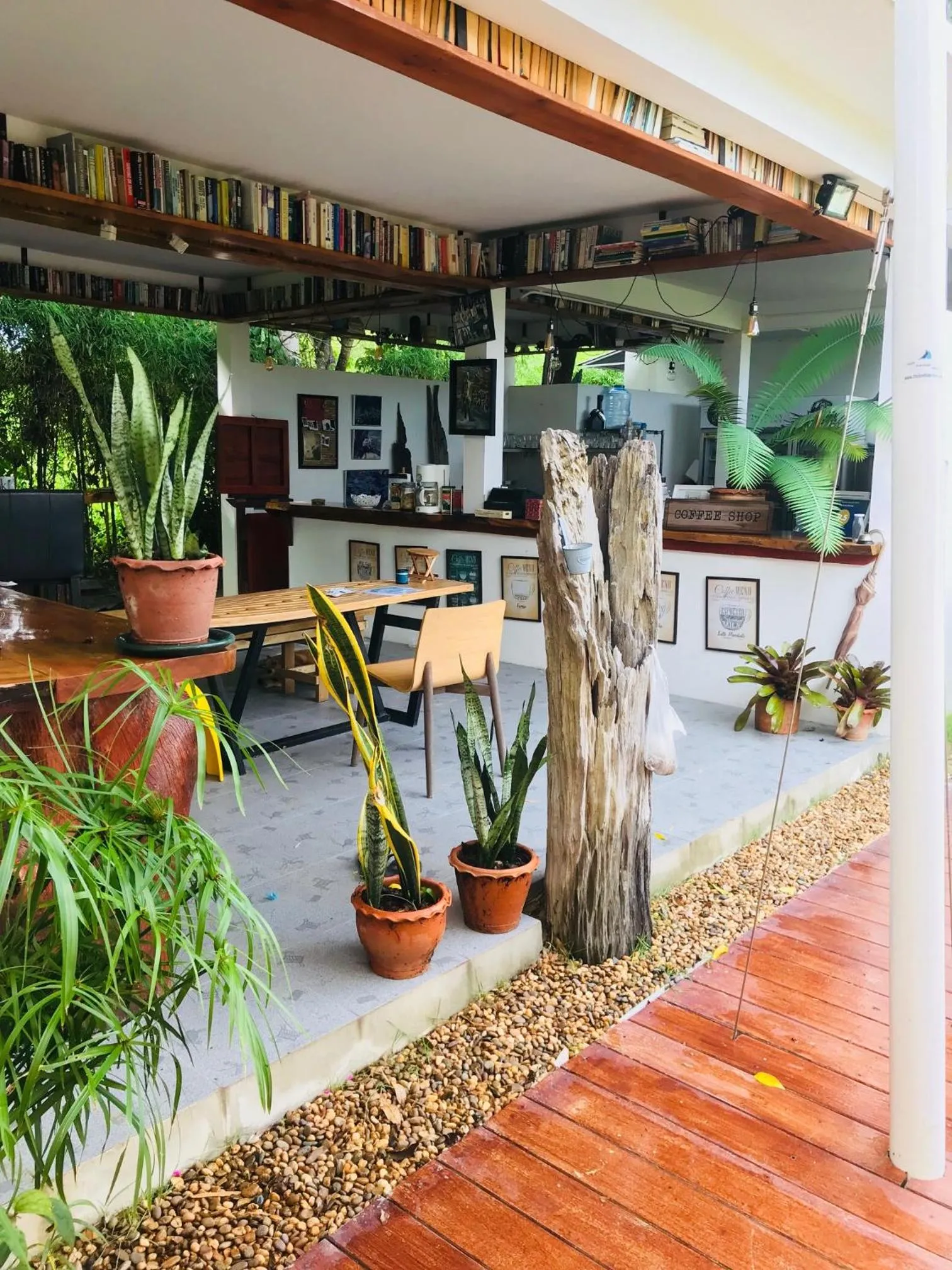 Food and drinks in Tree Roots Retreat