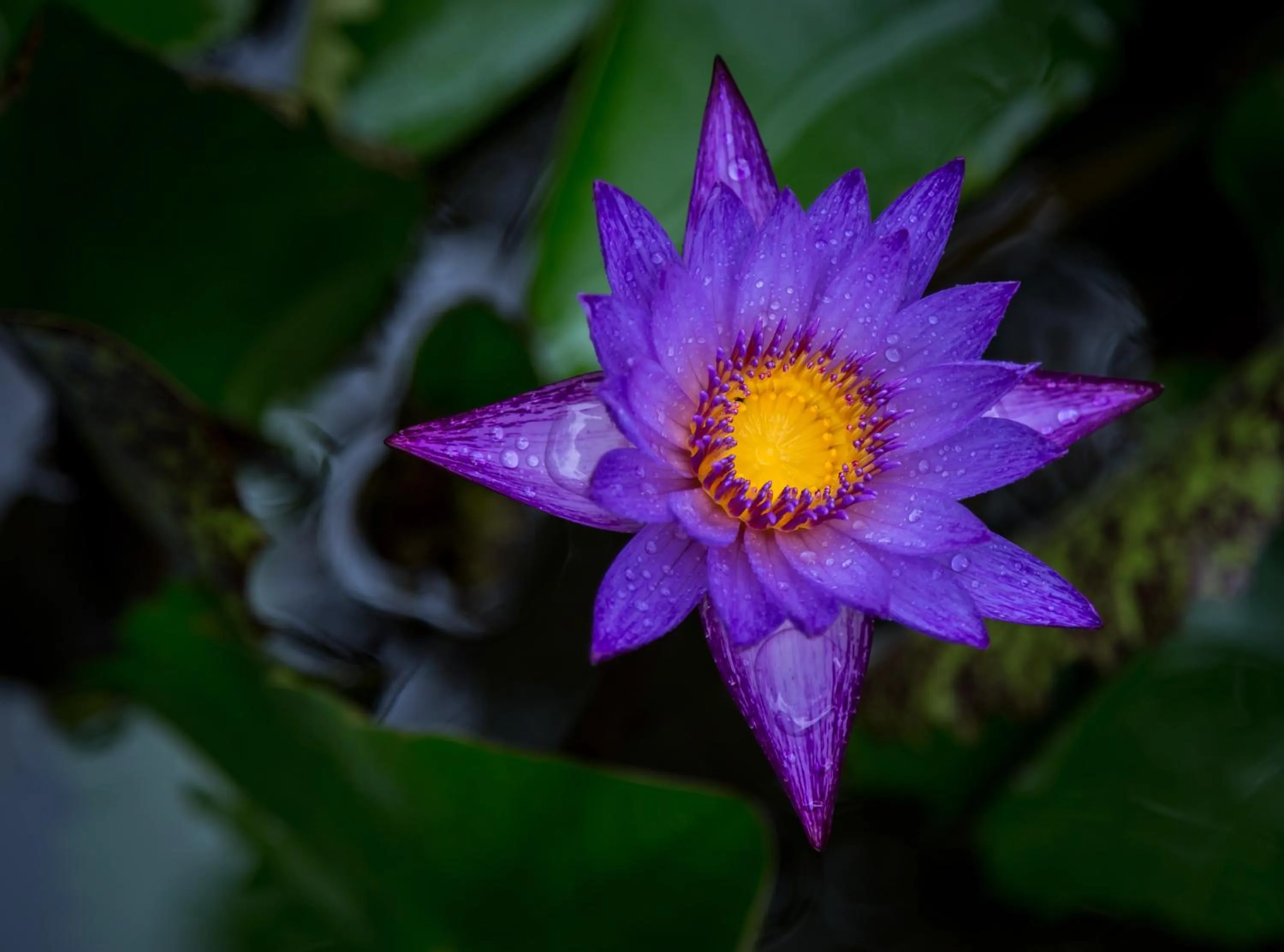 Garden in Damrei Residence & Spa