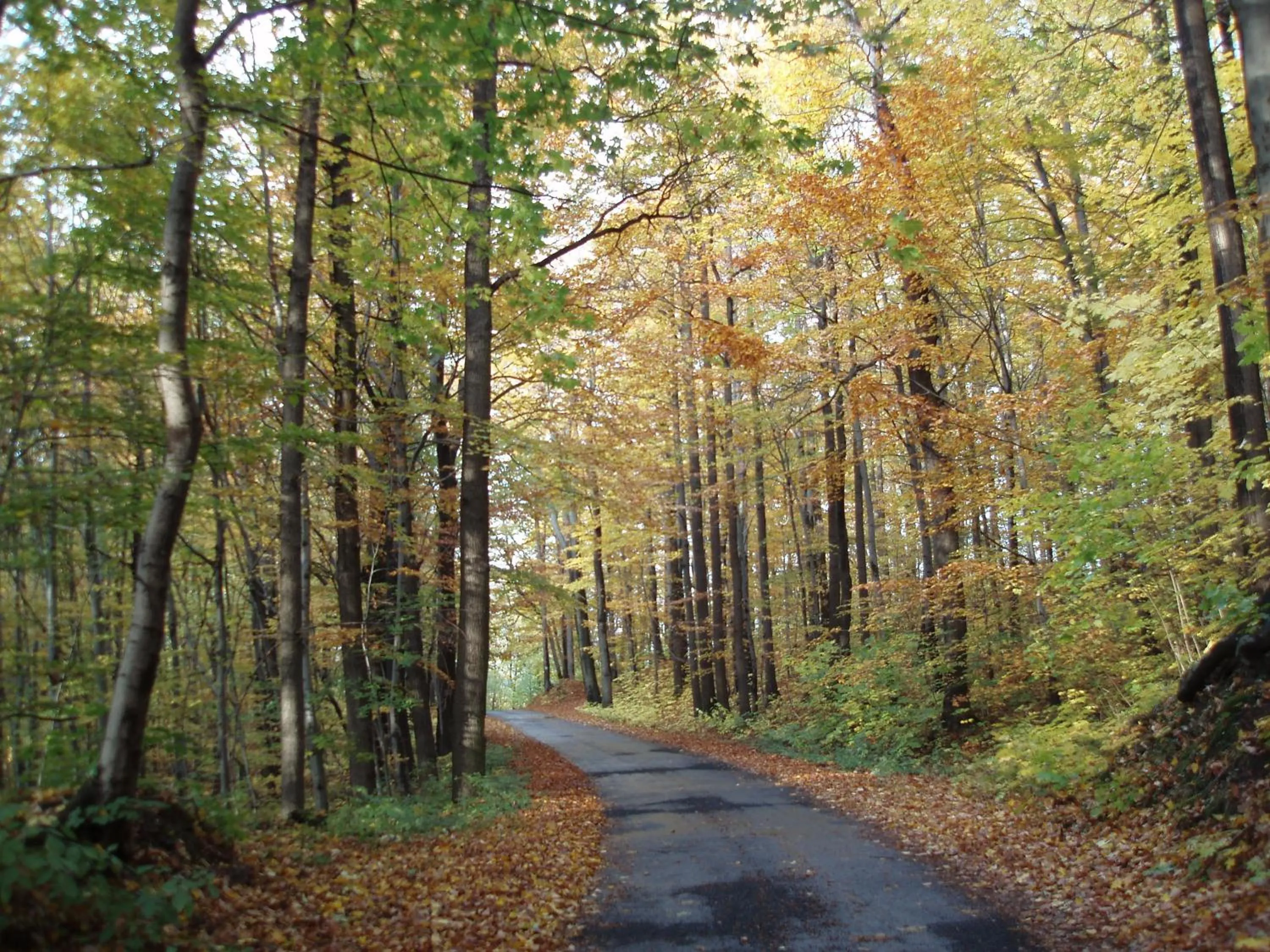 Natural landscape in Pension Lenno we Wleniu