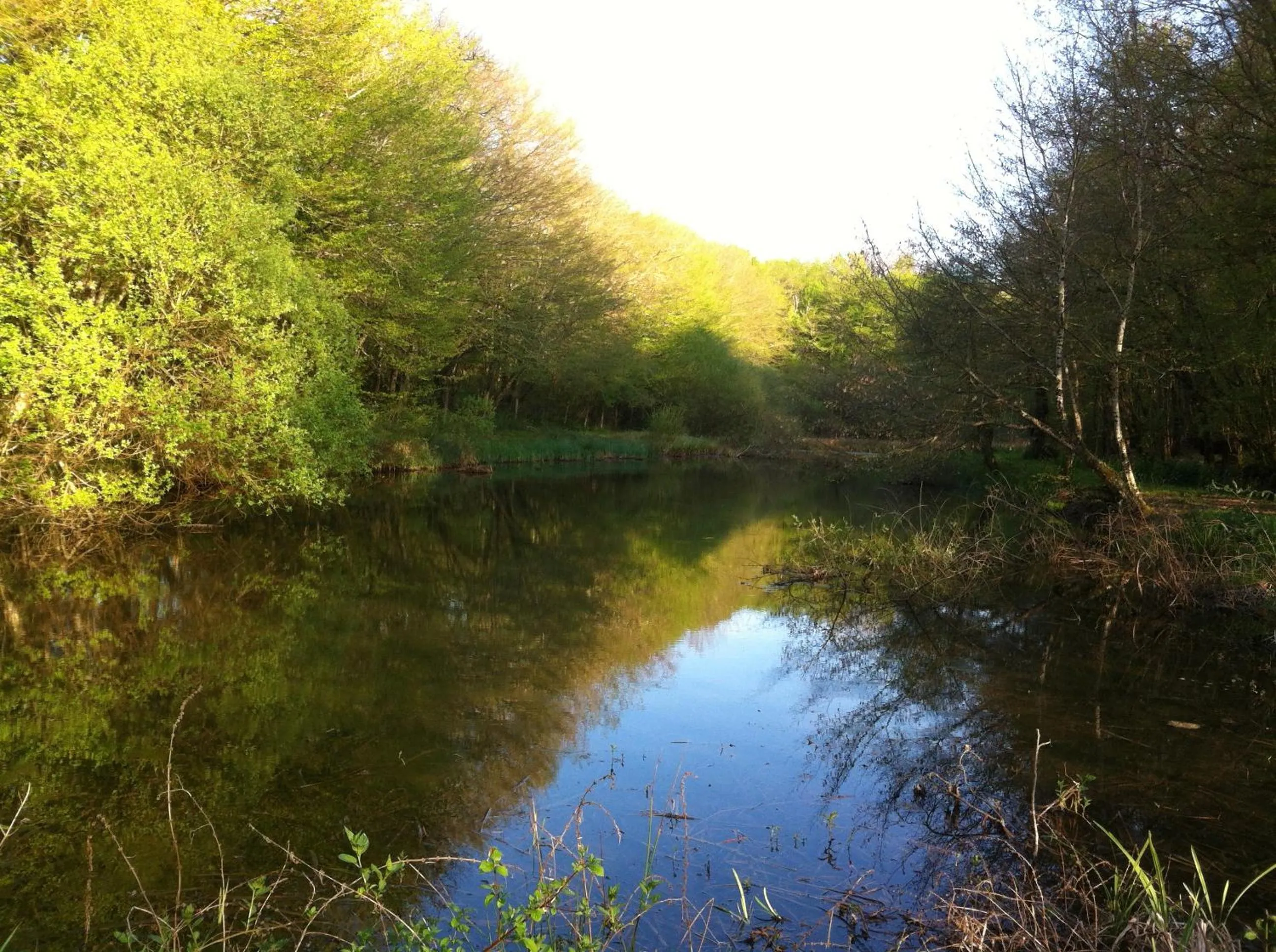 Activities in Domaine de la Touche Mosnay