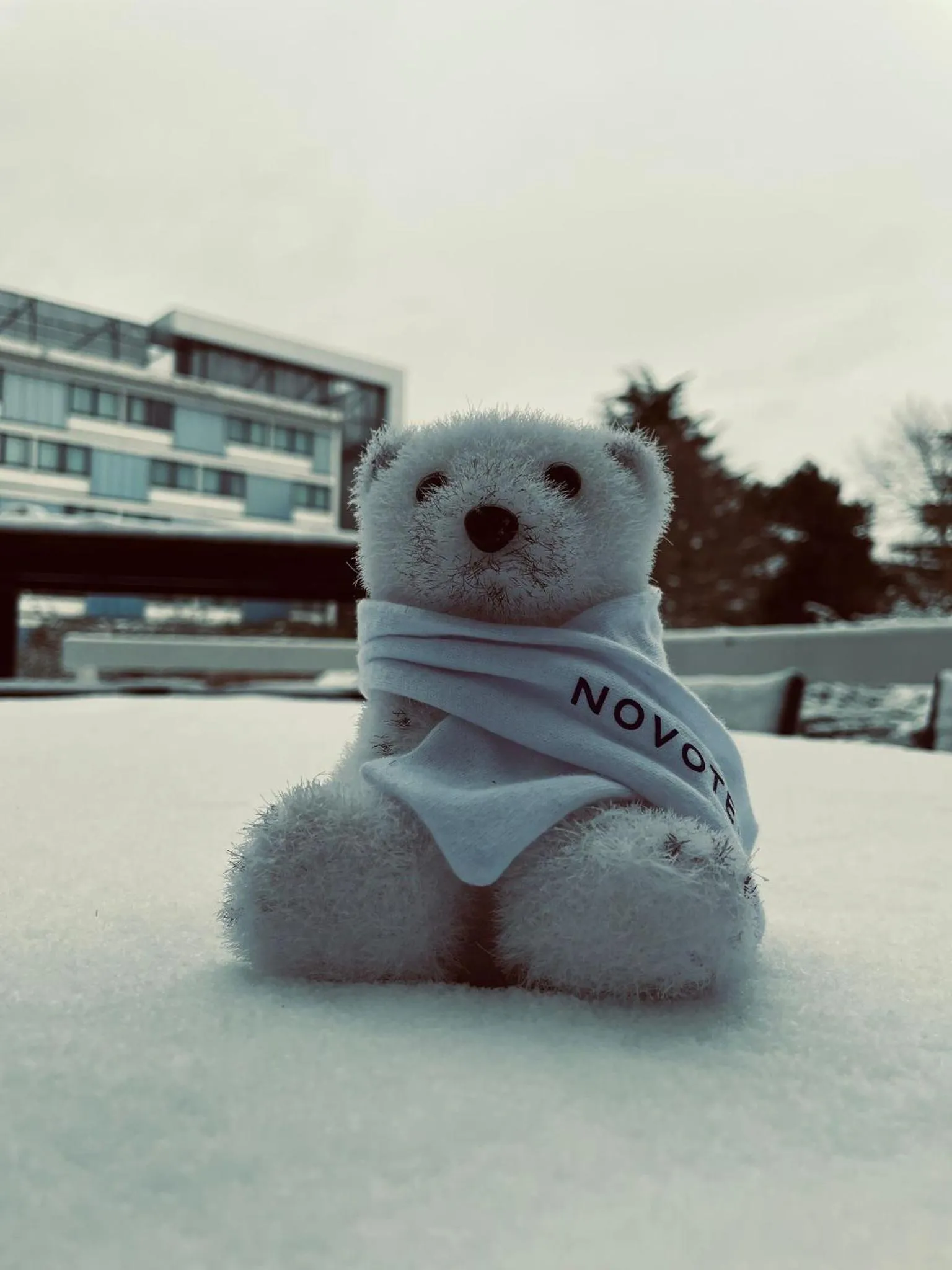 Entertainment in Novotel Brussels Airport