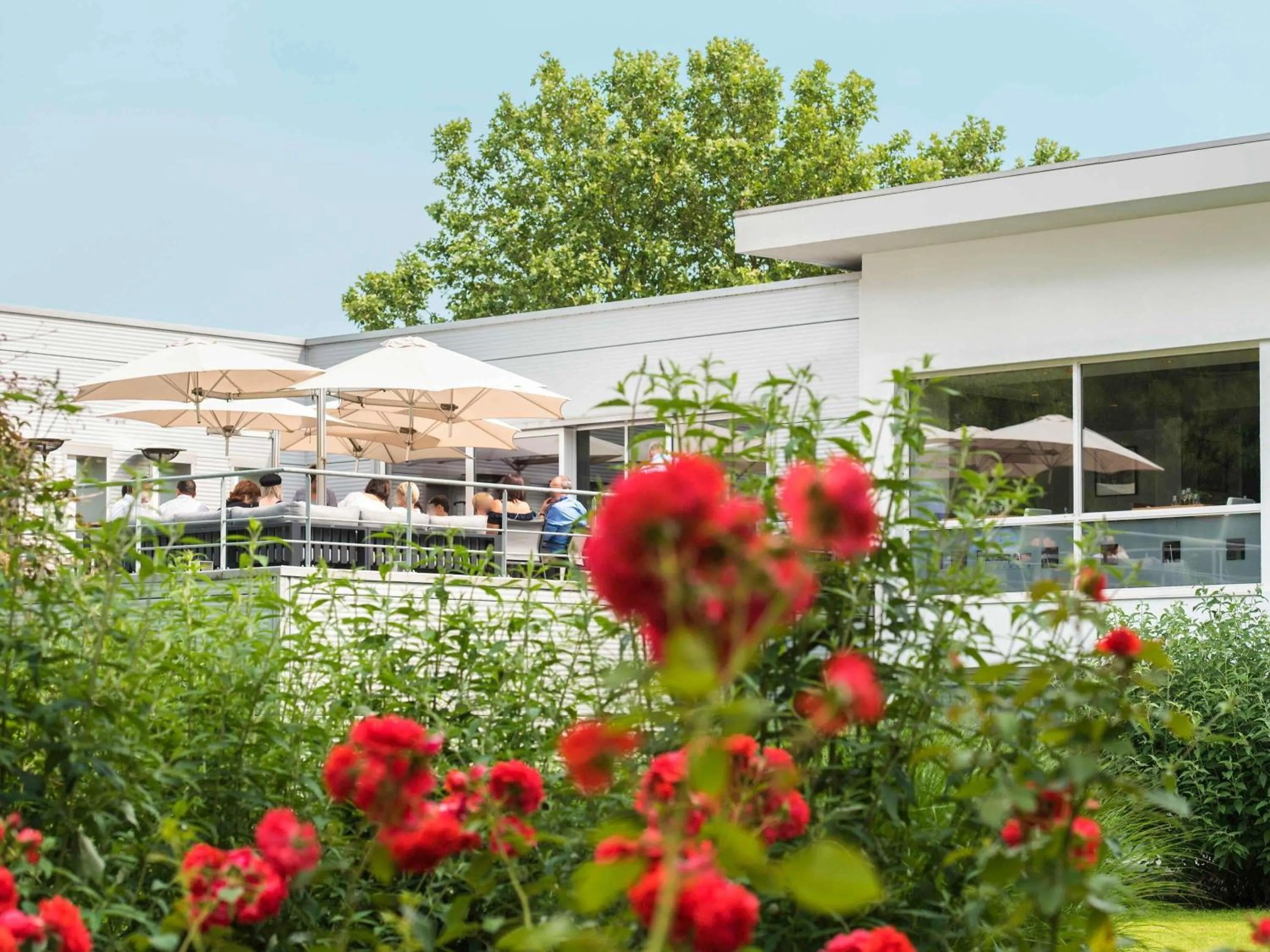 Restaurant/places to eat in Novotel Brussels Airport