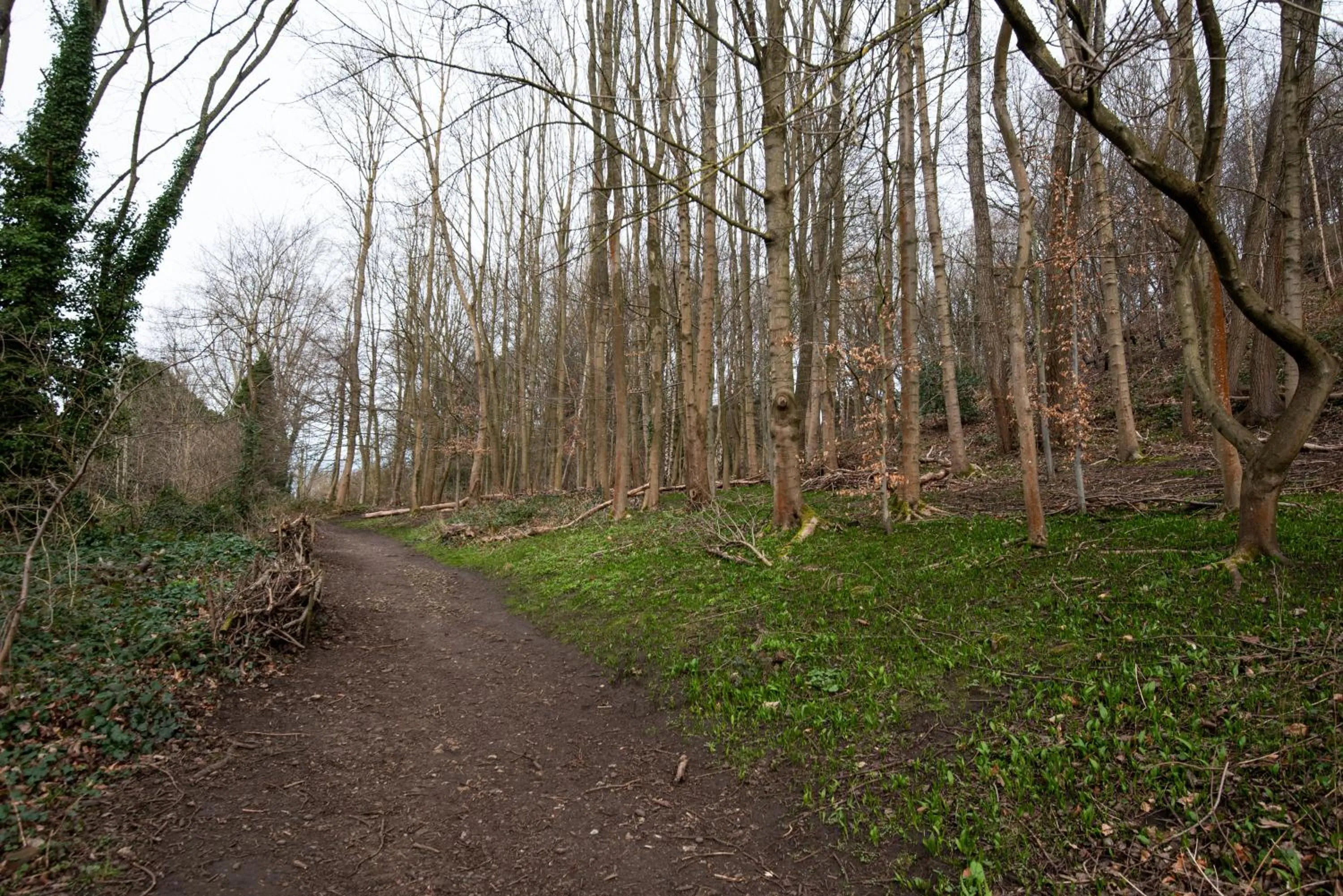 Natural landscape in The Kingslodge Inn - The Inn Collection Group