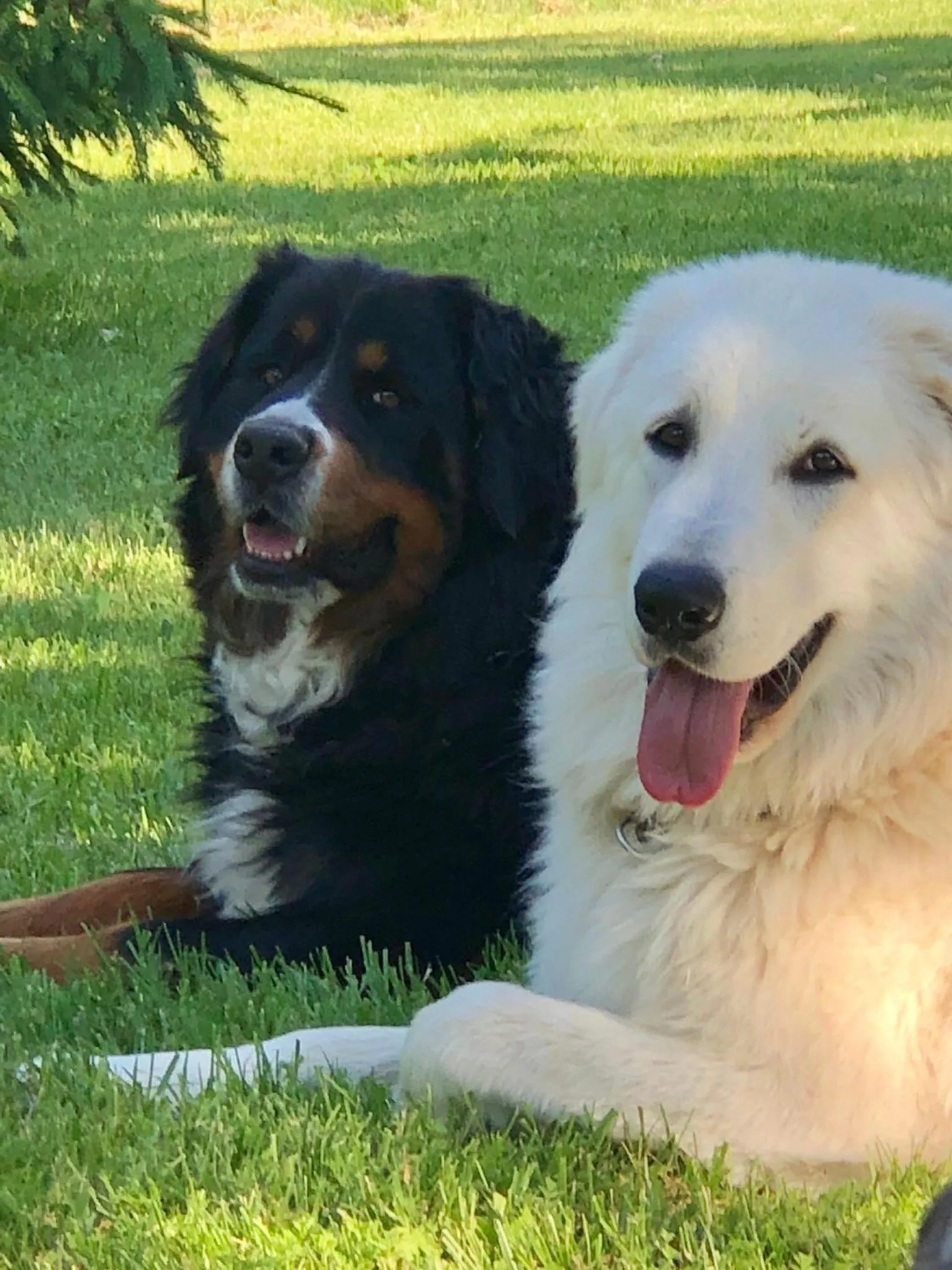 Family in La Locanda nel vento