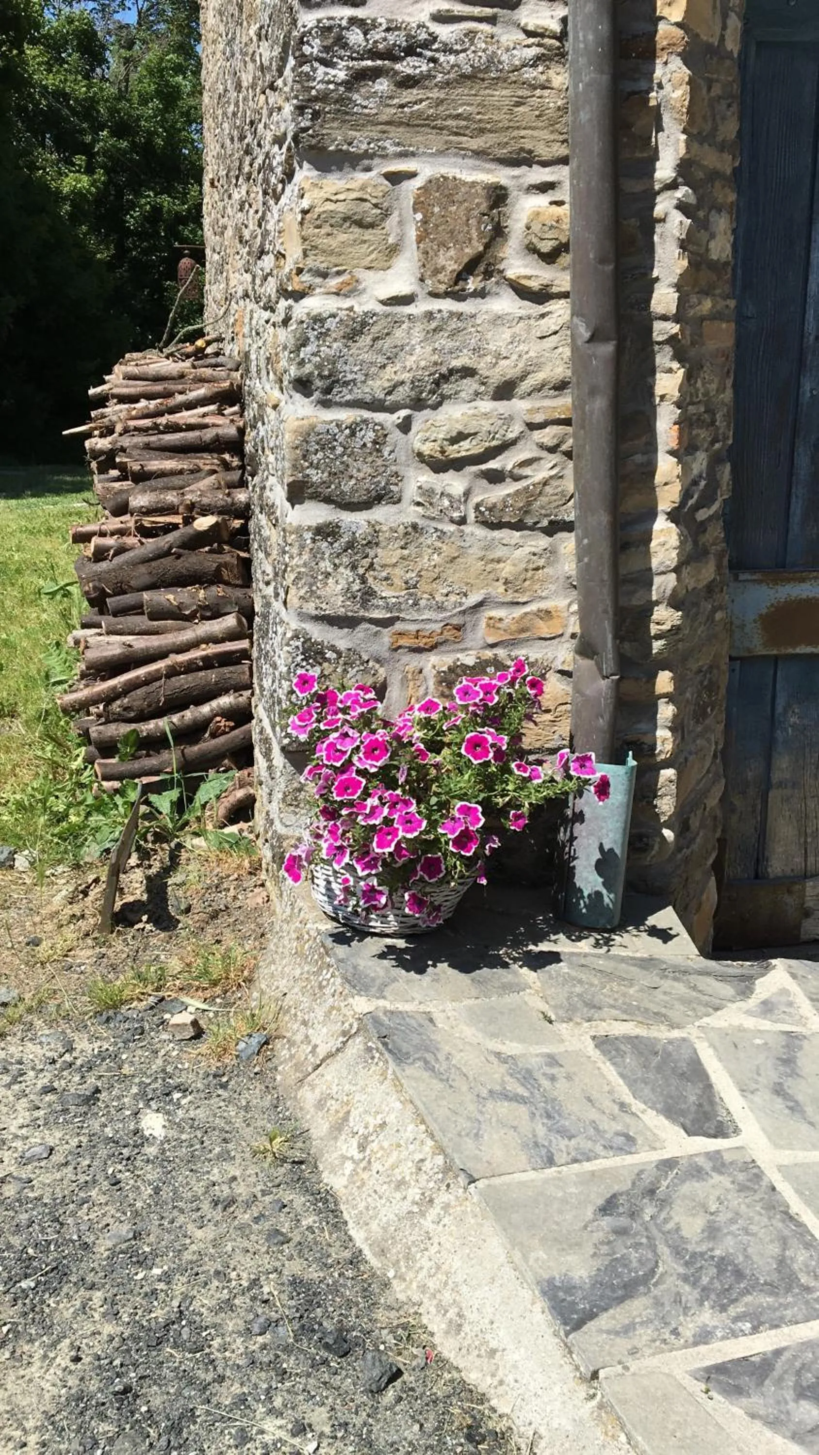 Garden in La Locanda nel vento