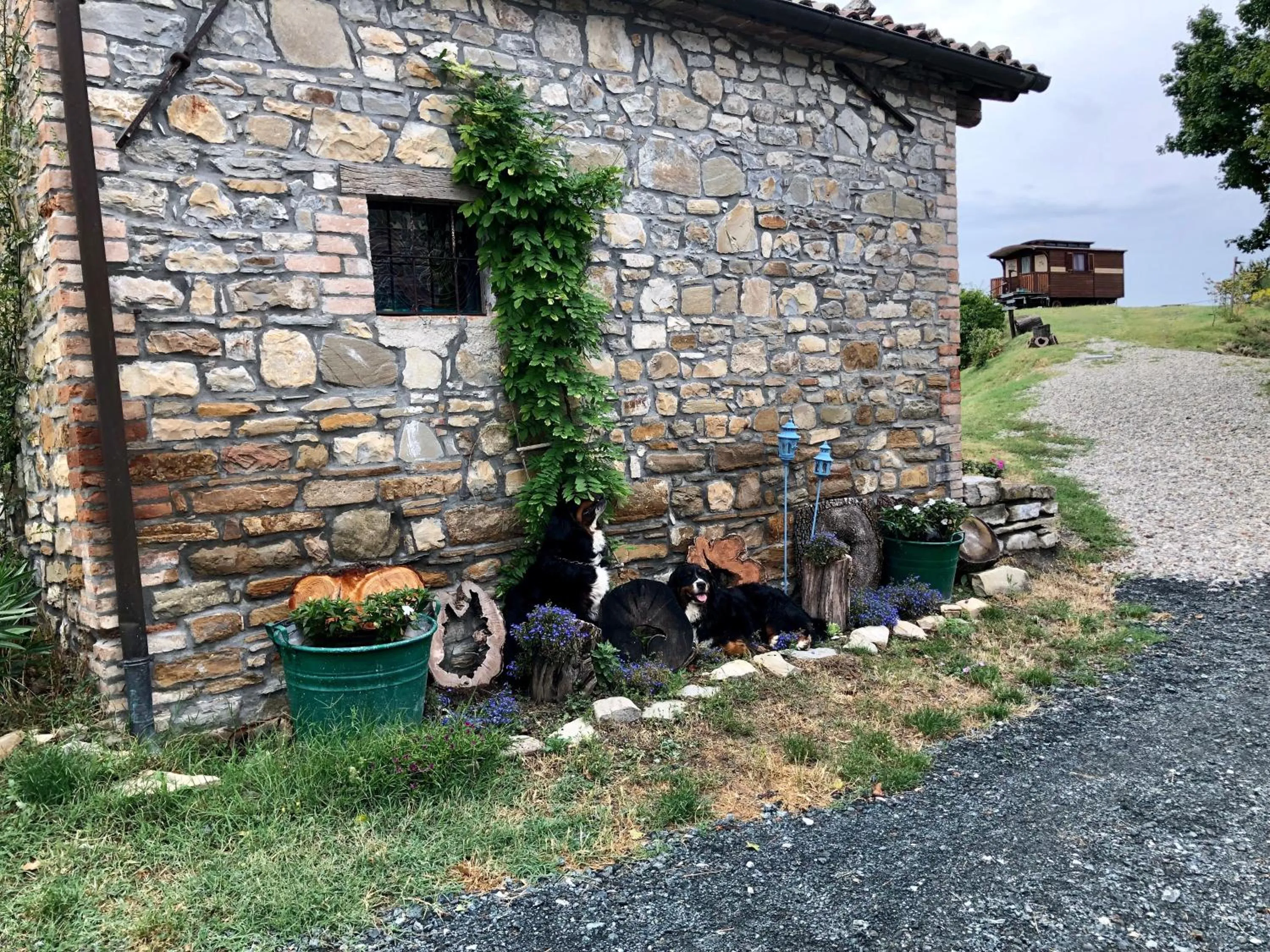 Garden in La Locanda nel vento