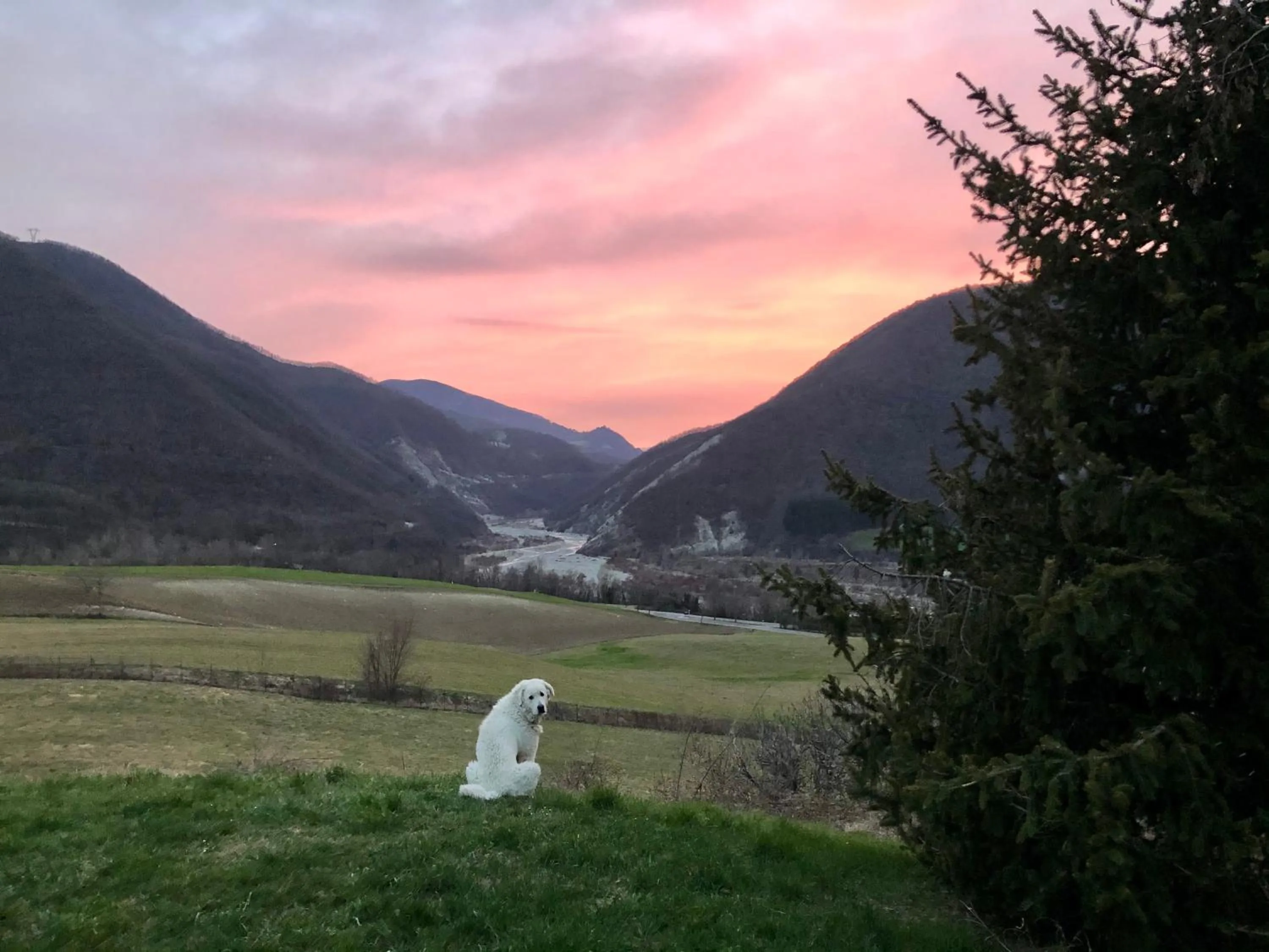 Pets in La Locanda nel vento