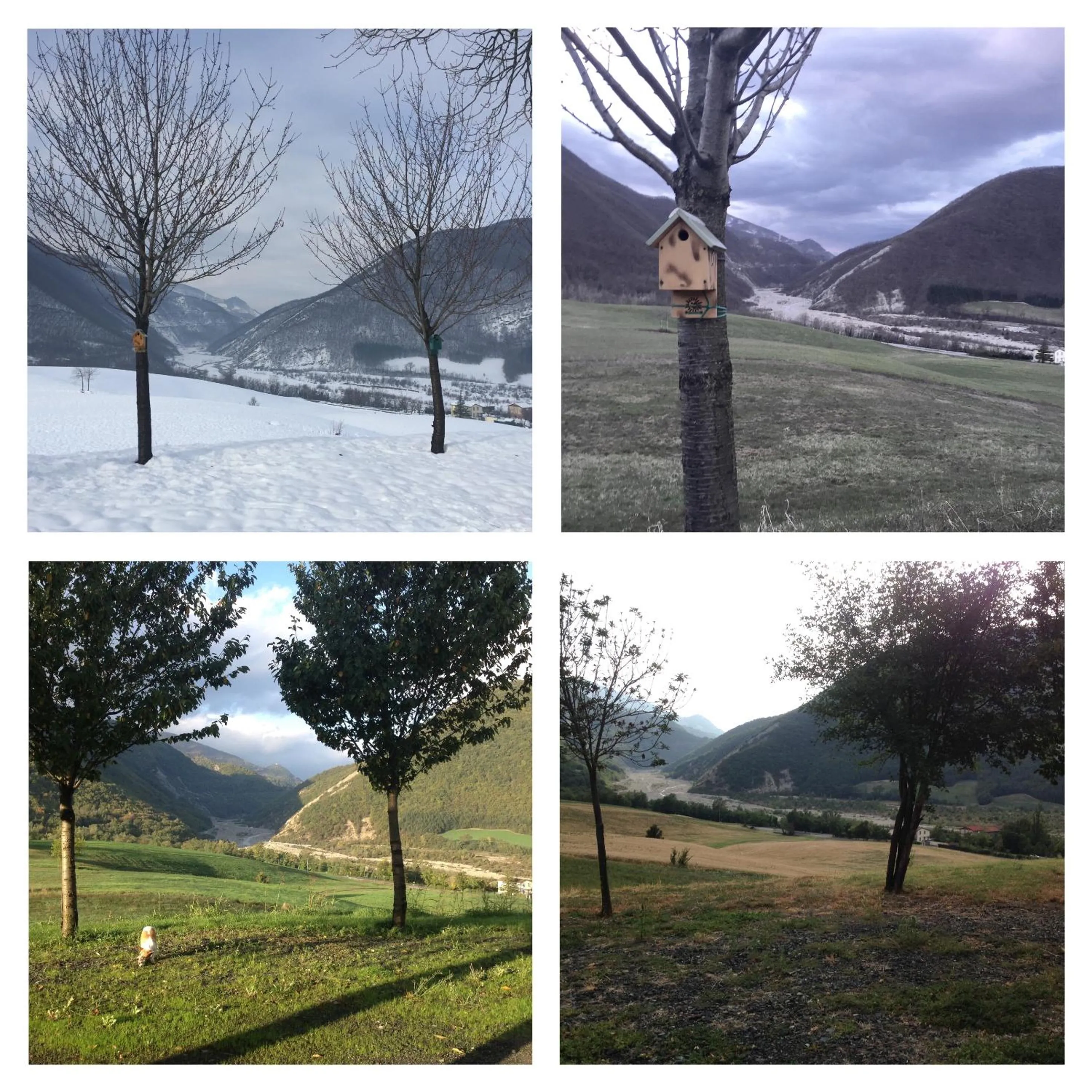 Seasons in La Locanda nel vento