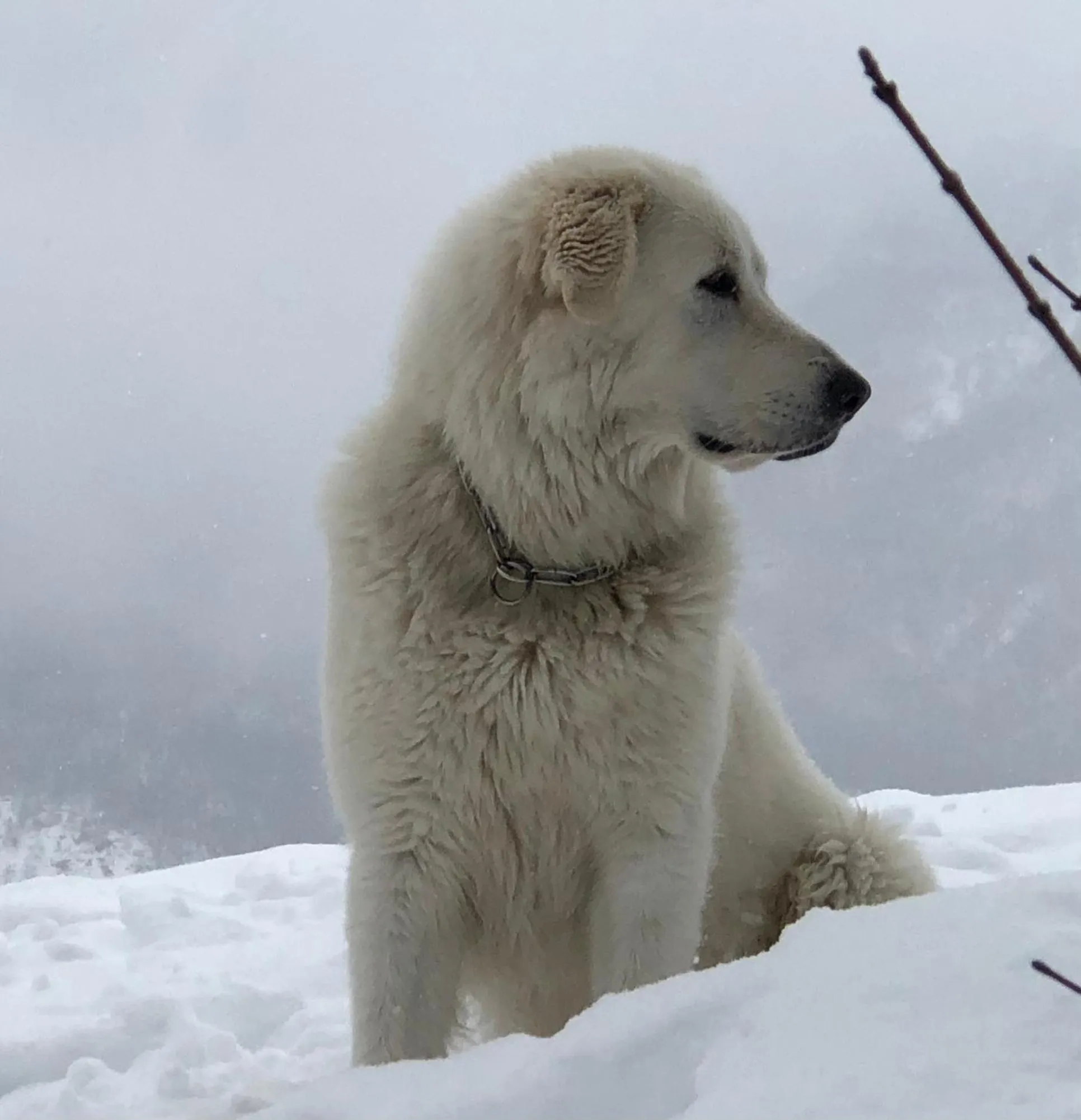 Winter in La Locanda nel vento