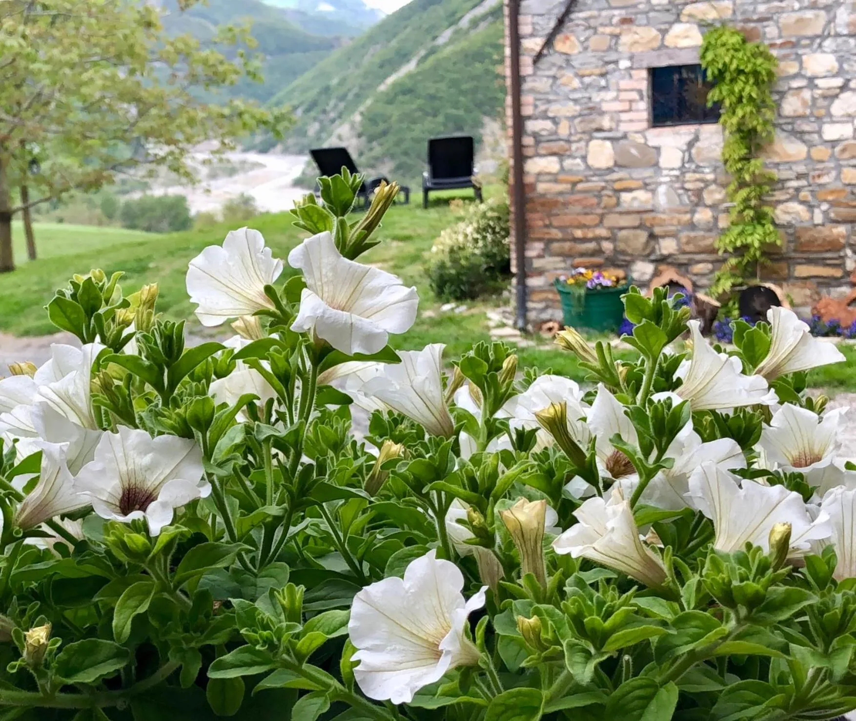 Garden in La Locanda nel vento