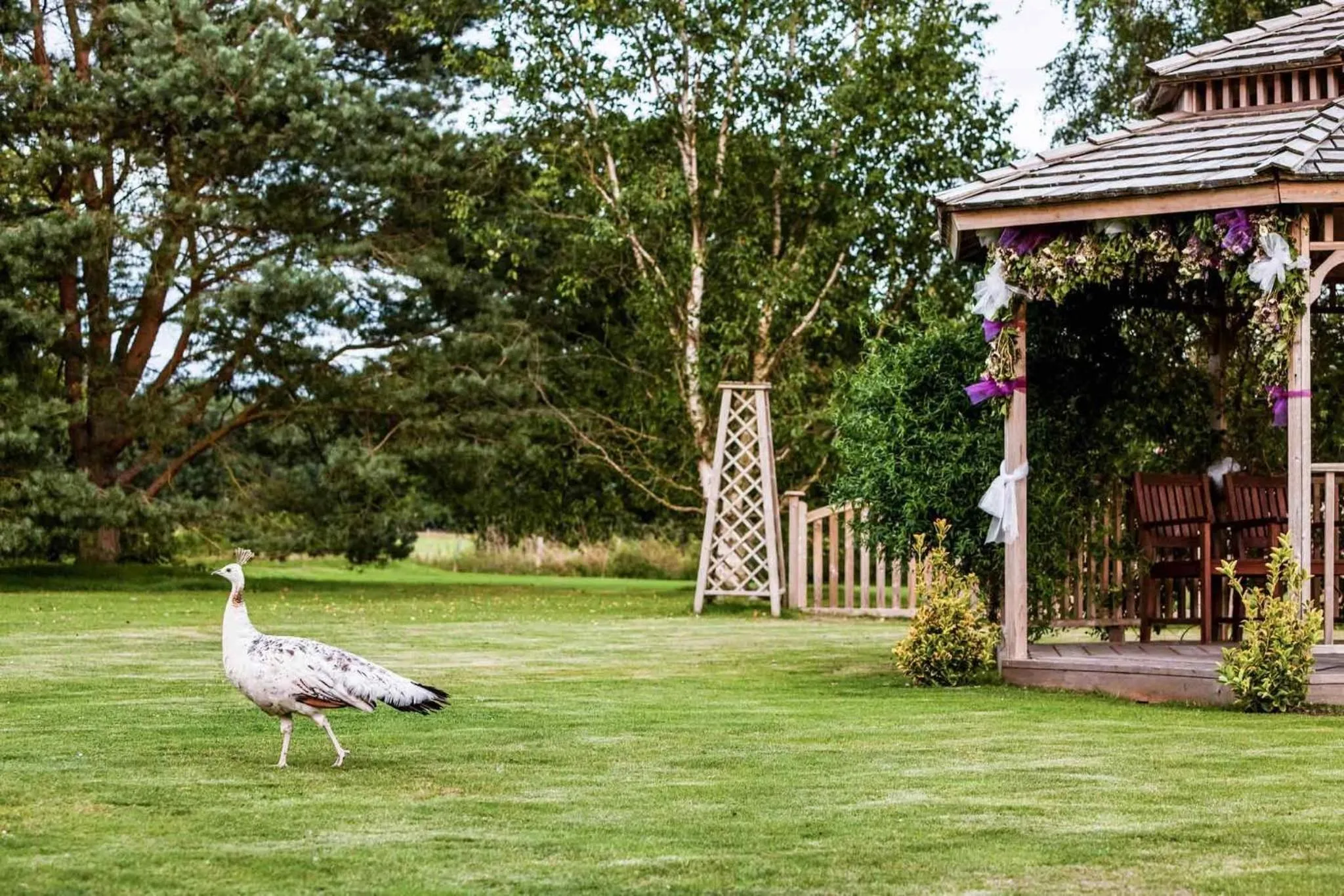 Other in Mercure Maidstone Great Danes Hotel