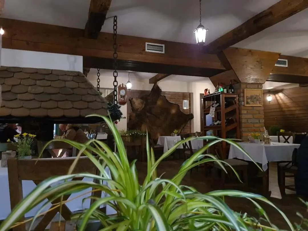 Restaurant/places to eat in Hotel Babino Brdo