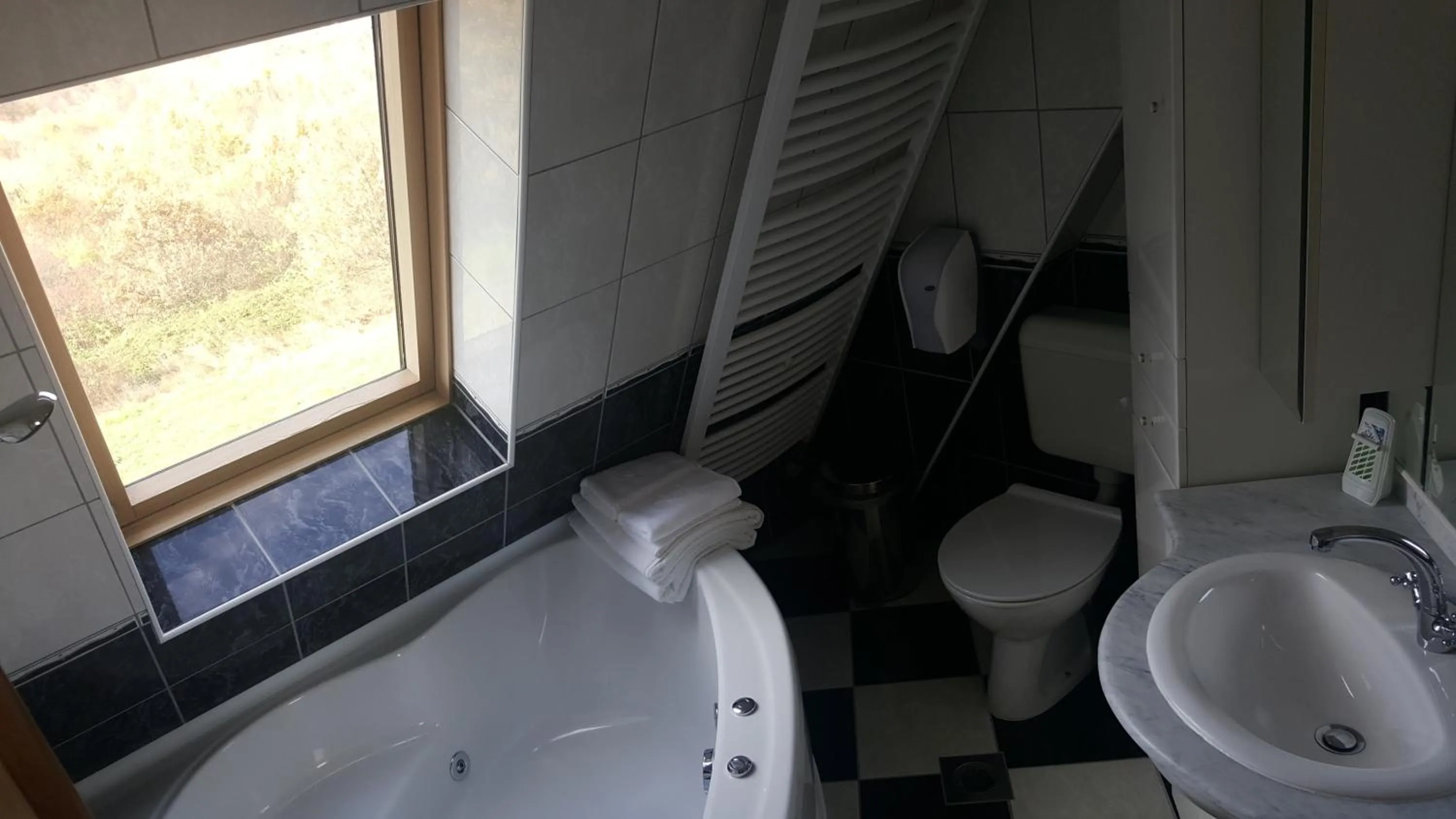 Toilet in Hotel Babino Brdo