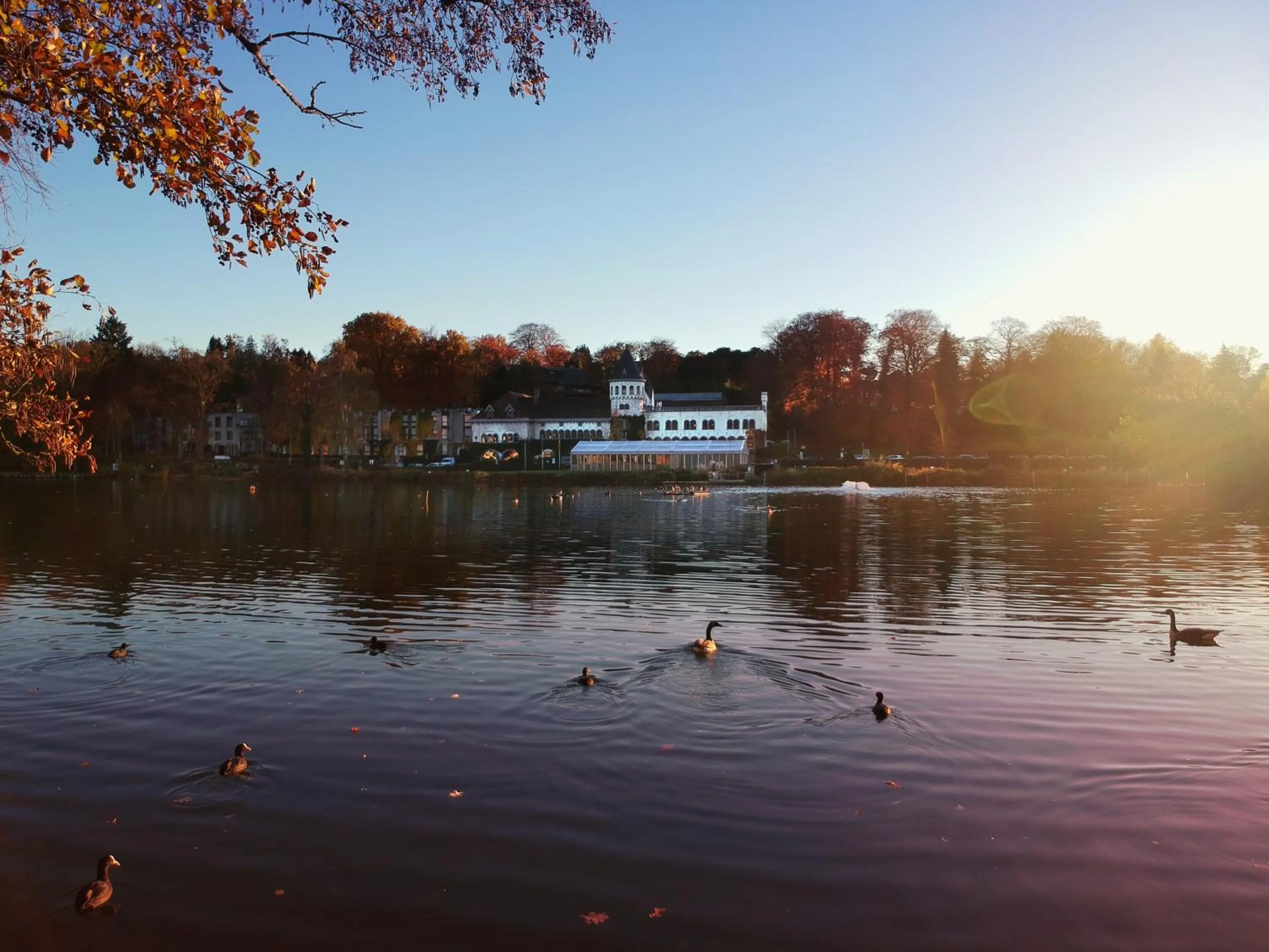 Bird's eye view in Martin's Château Du Lac