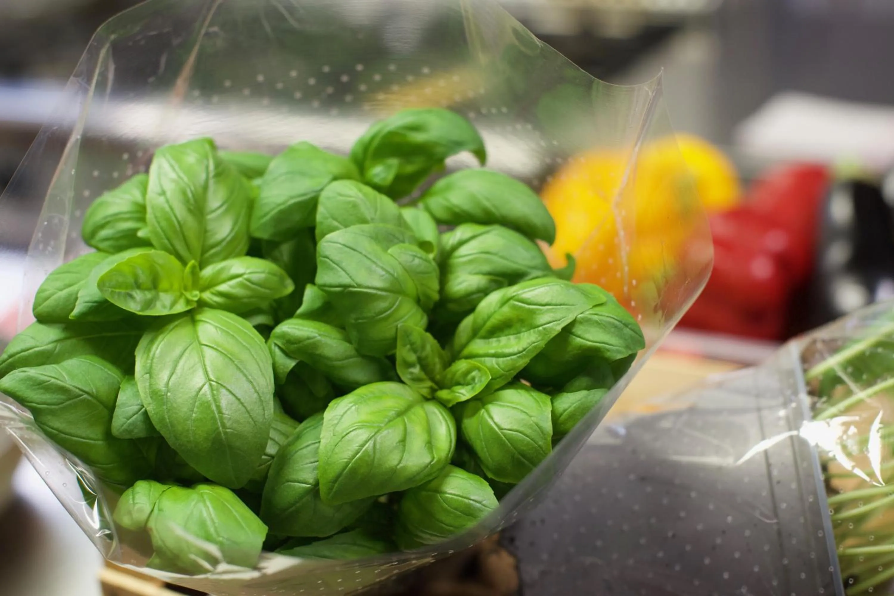 Restaurant/places to eat in Residence La Palma