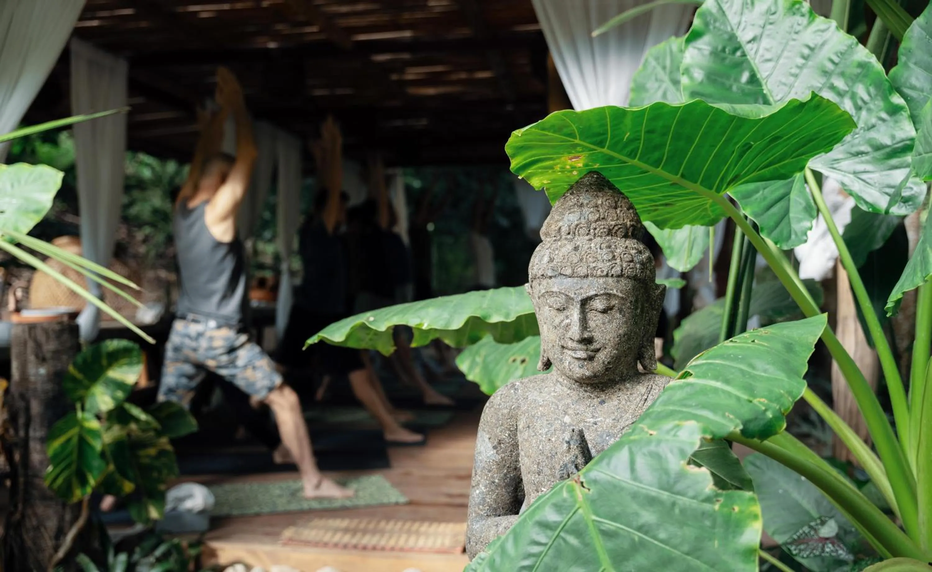 Nearby landmark in ONE Santuario Natural