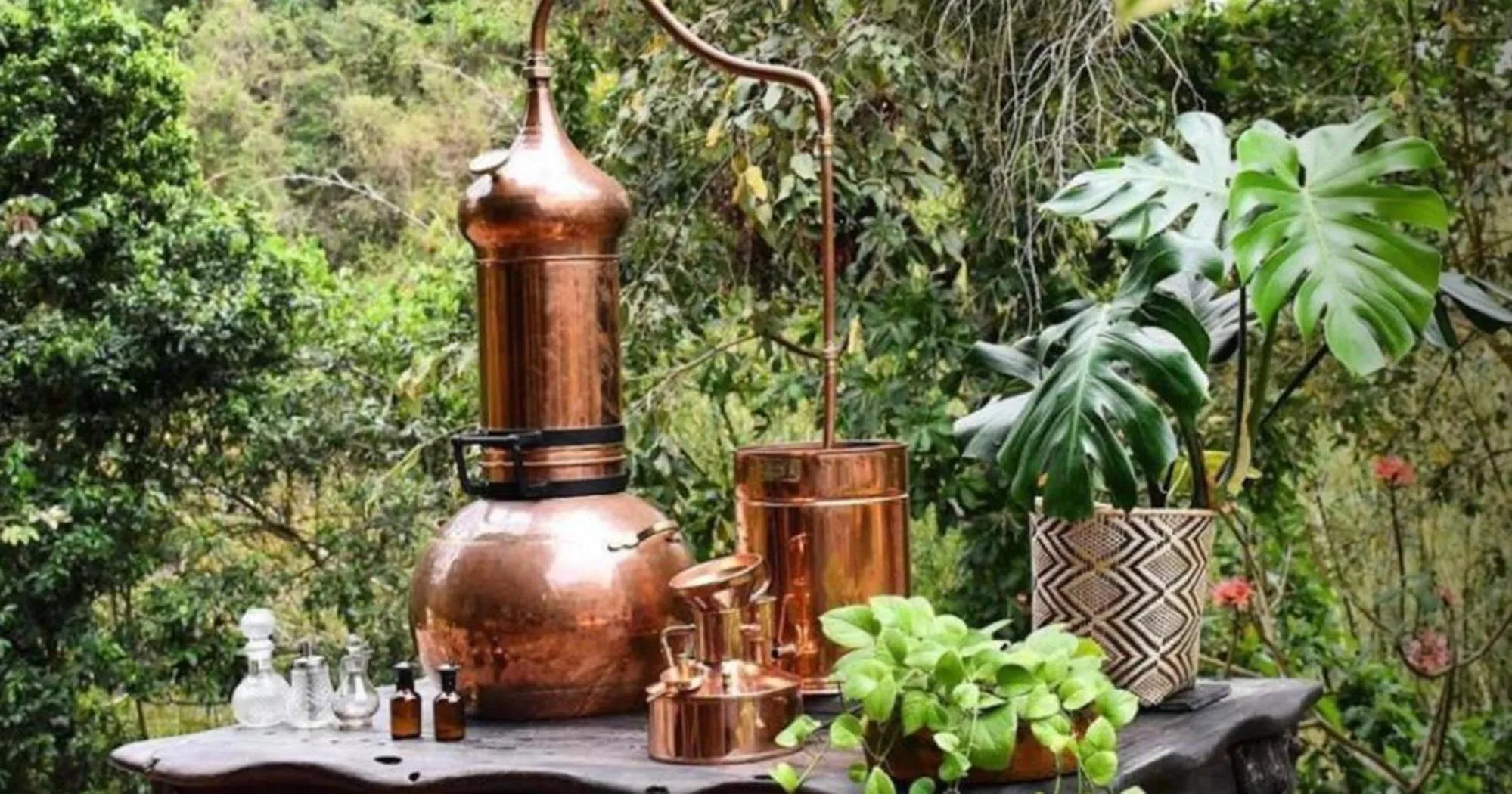 Activities in ONE Santuario Natural