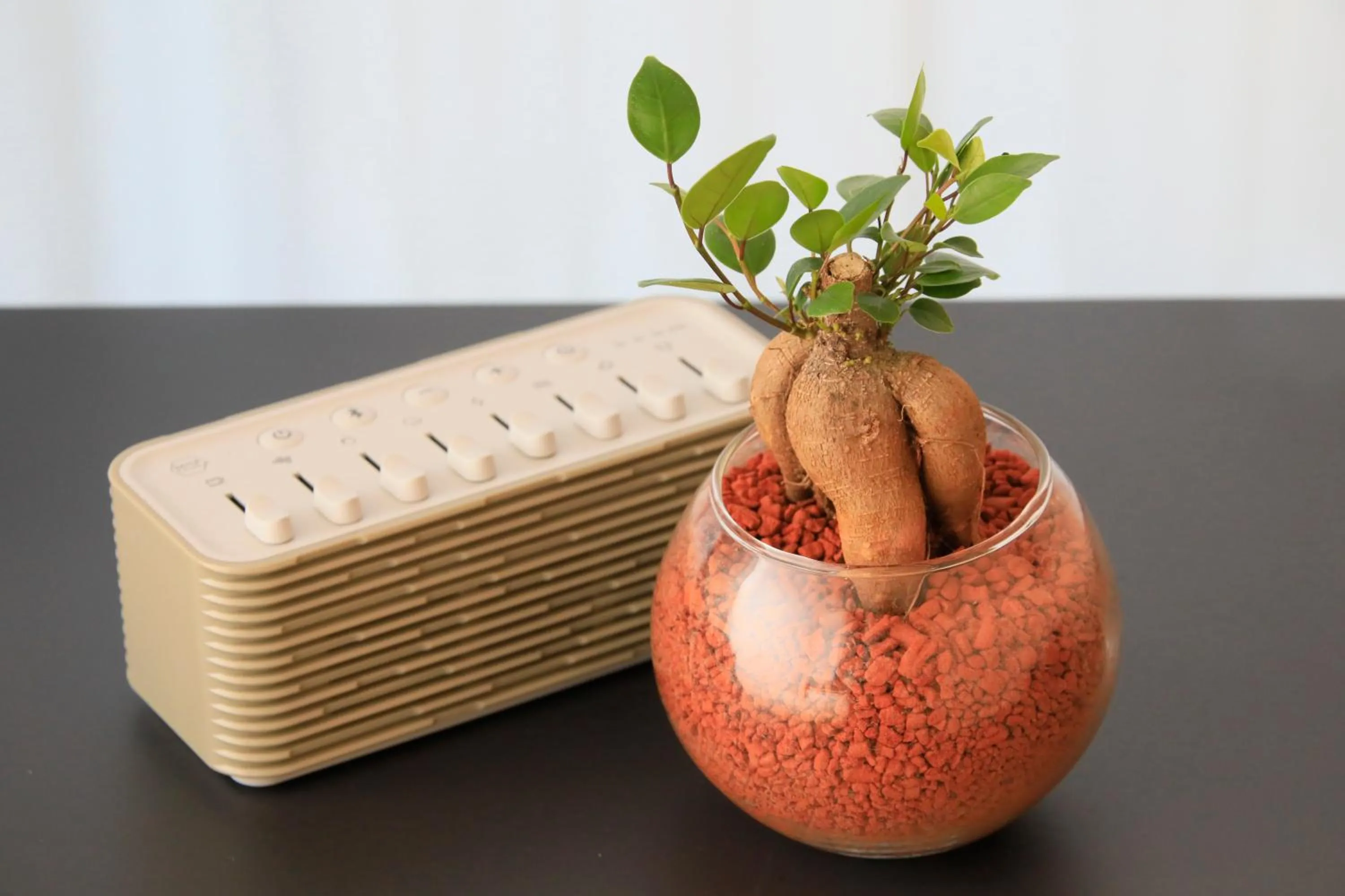 Natural landscape in QuintessaHotel SapporoSusukino63 Relax&Spa