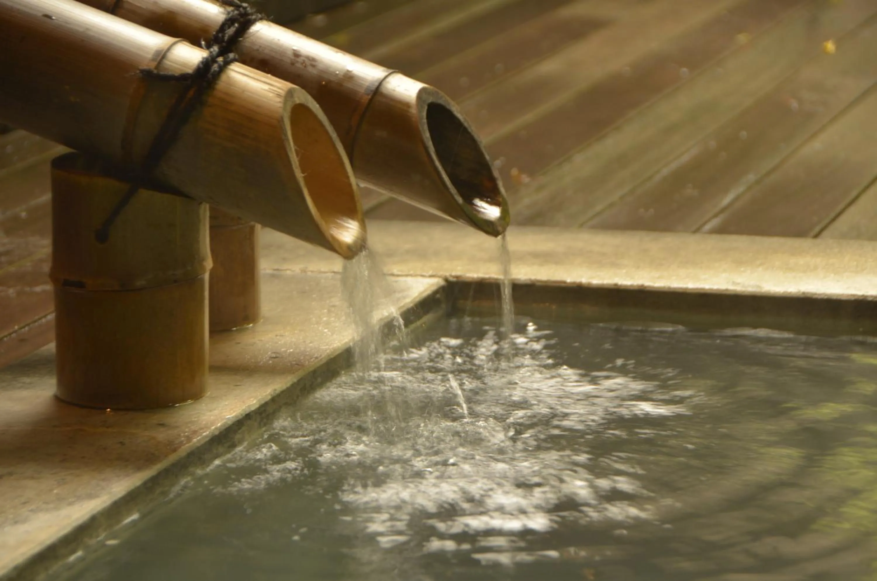 Hot Spring Bath in Matsuzakaya Honten