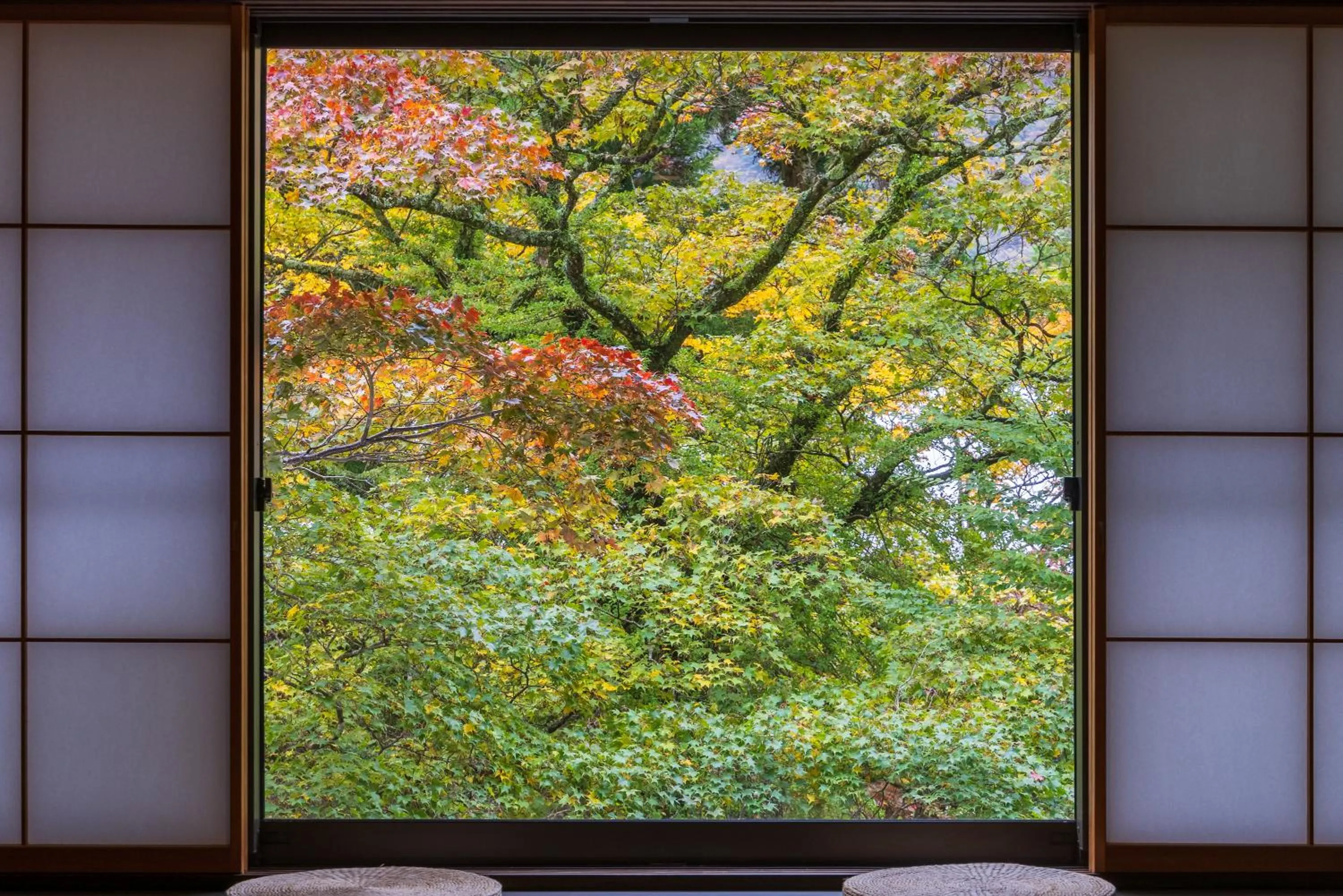 View (from property/room) in Matsuzakaya Honten