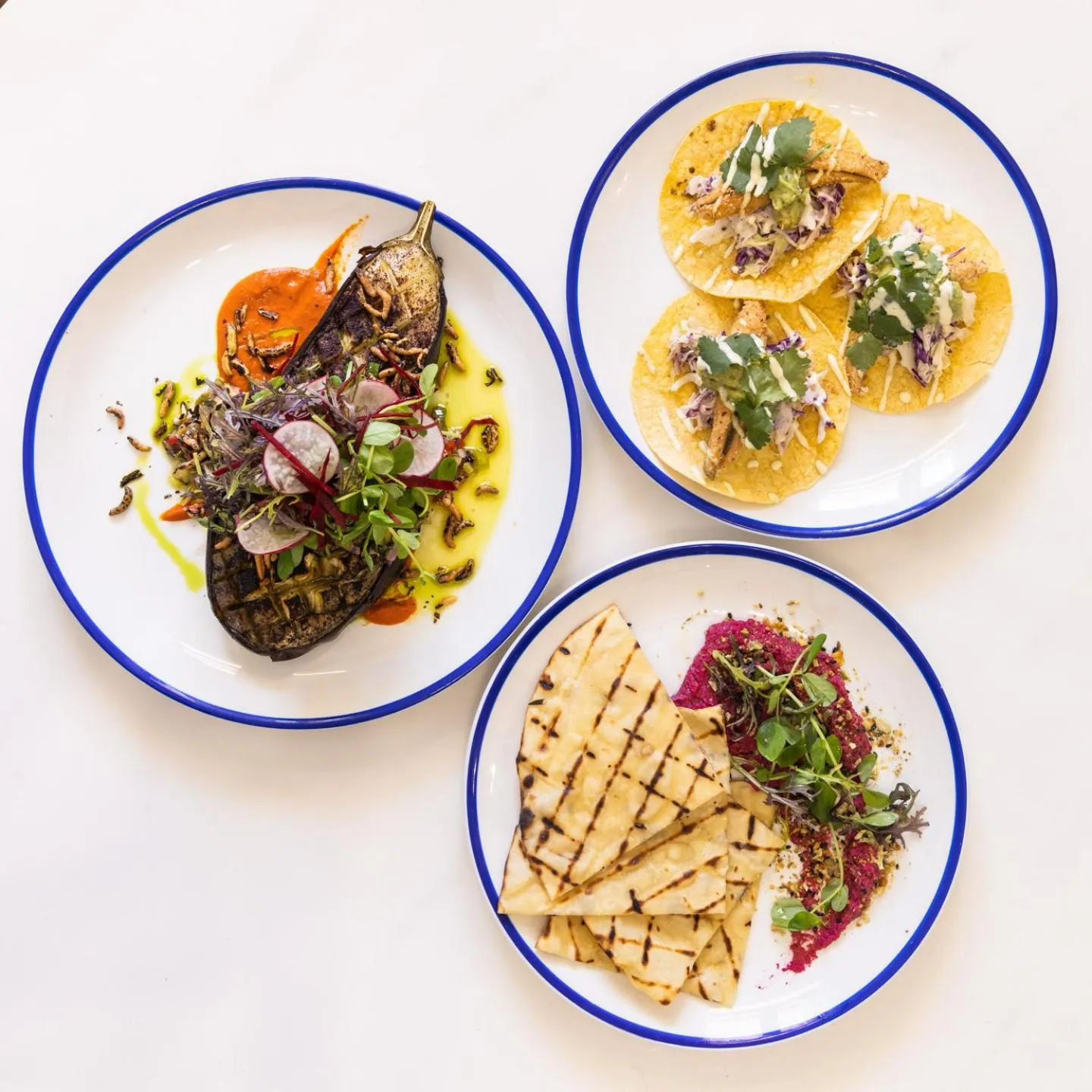 Food close-up in Bermagui Beach Hotel