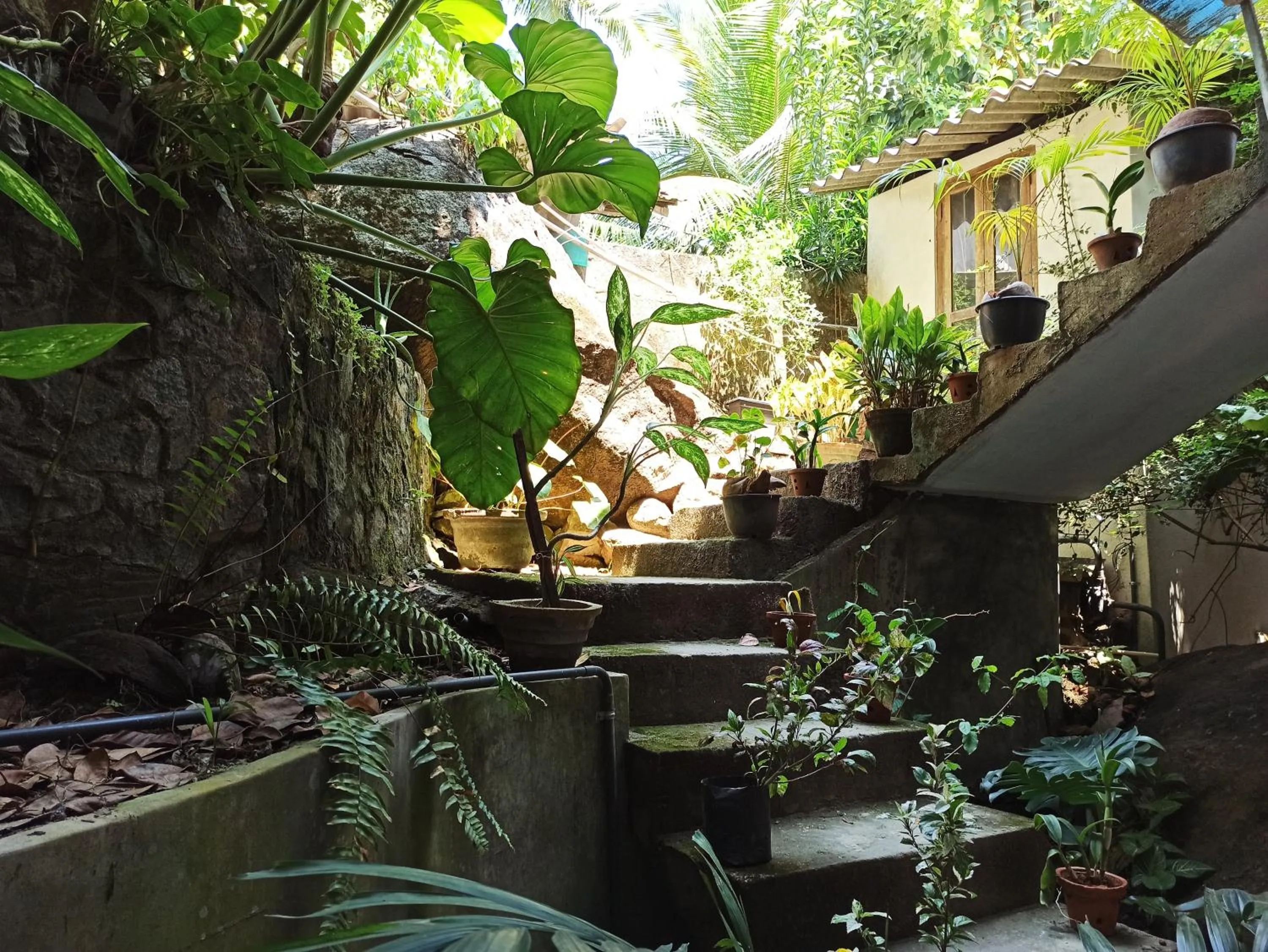 Natural landscape in Butterfly Jewel