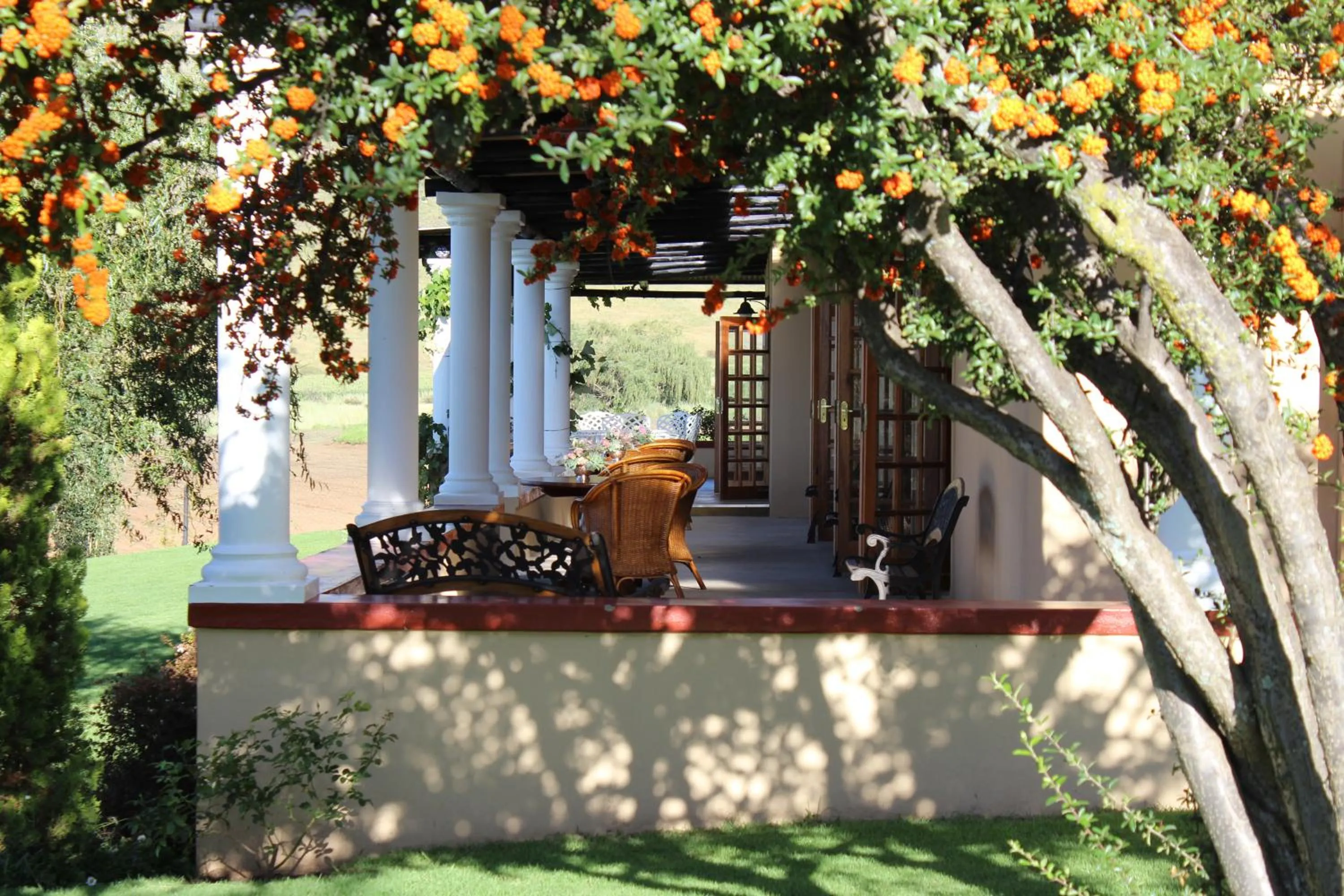 View (from property/room) in Oranje Guest Farm