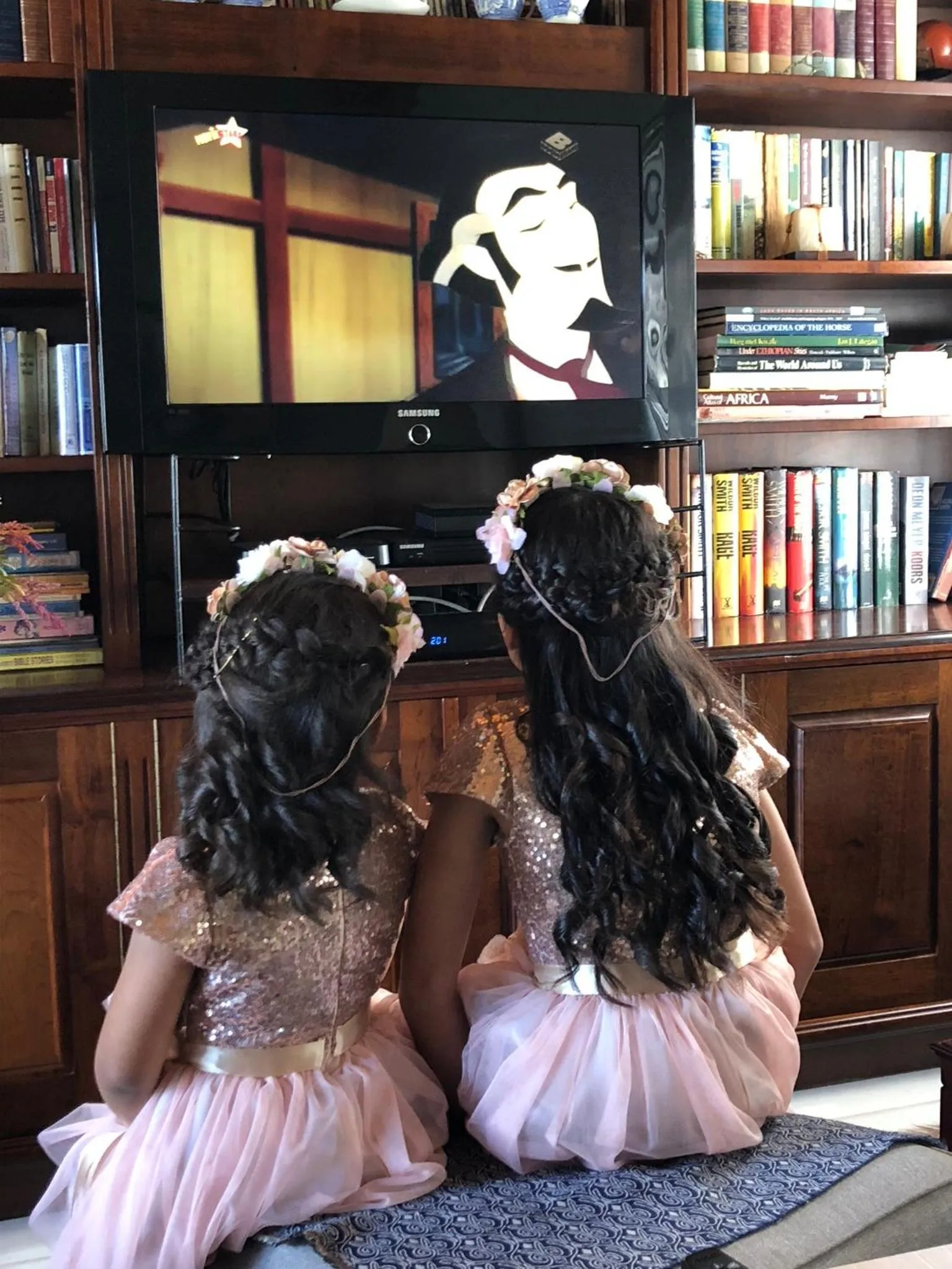 Library in Wellington Country House