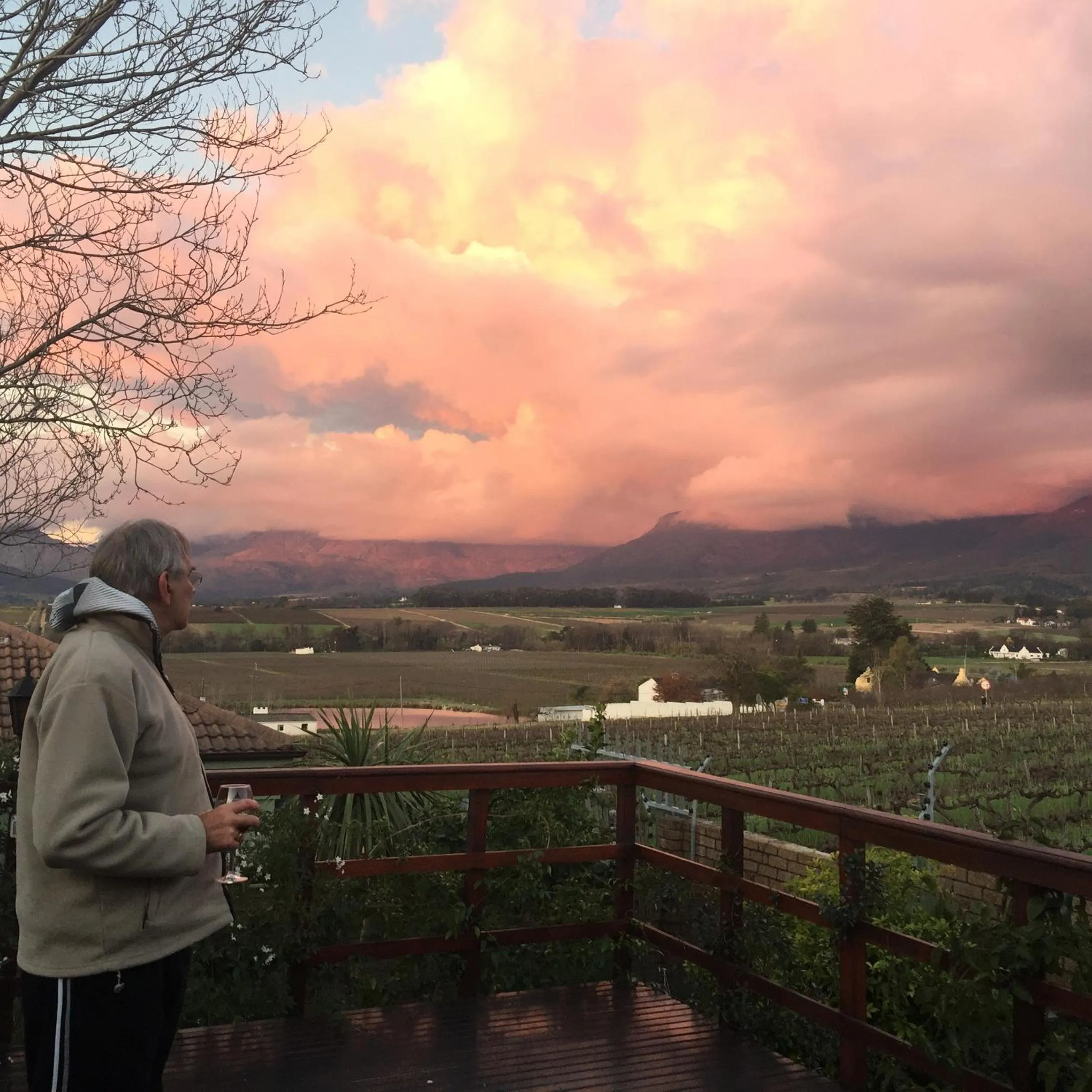 Natural landscape in Wellington Country House