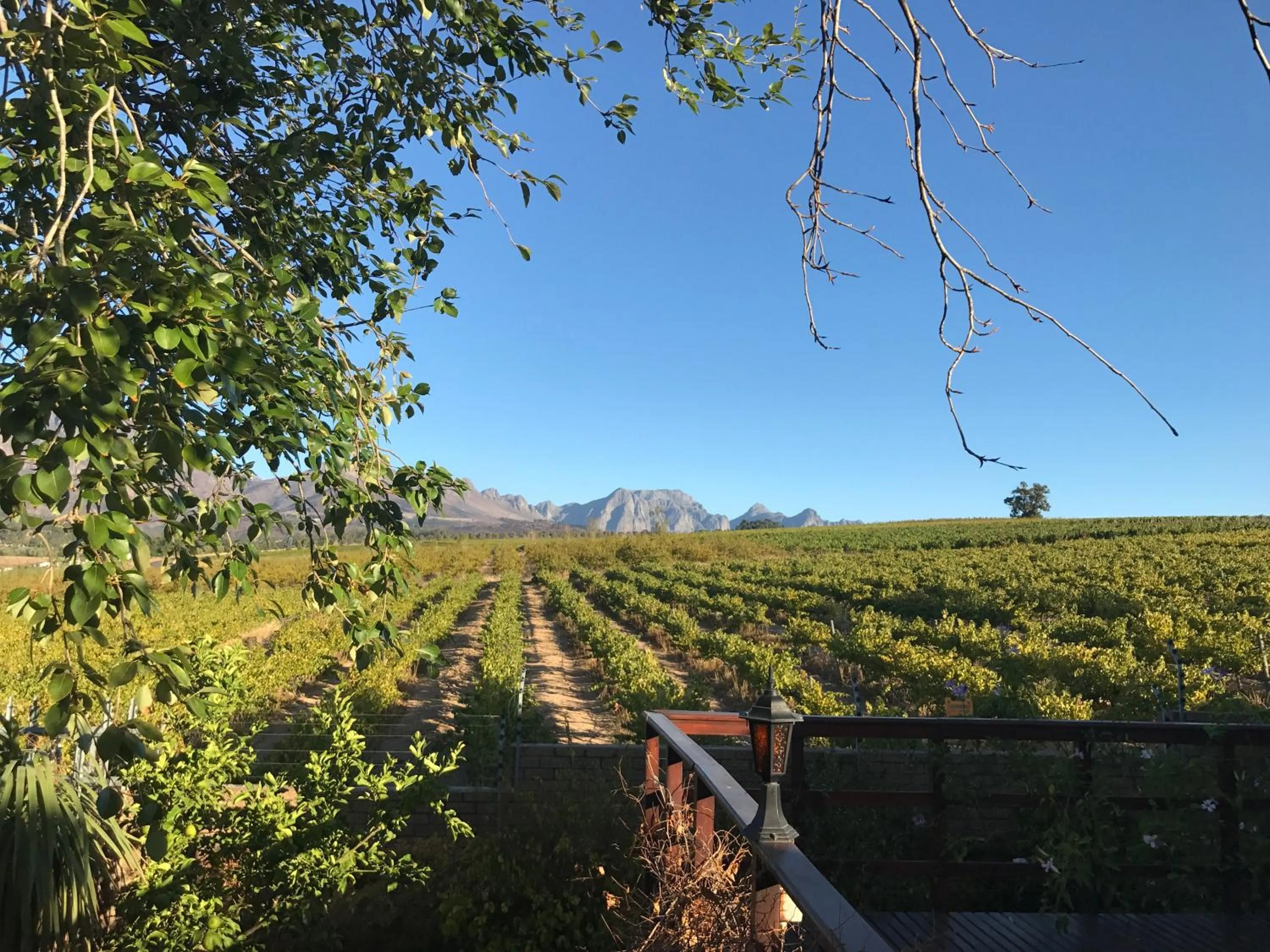 Summer in Wellington Country House