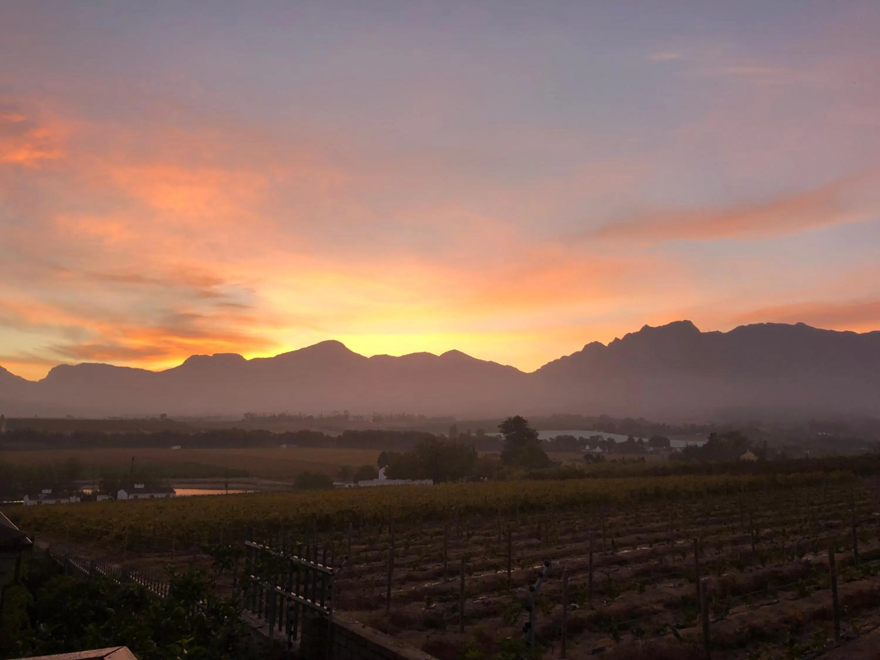 View (from property/room) in Wellington Country House