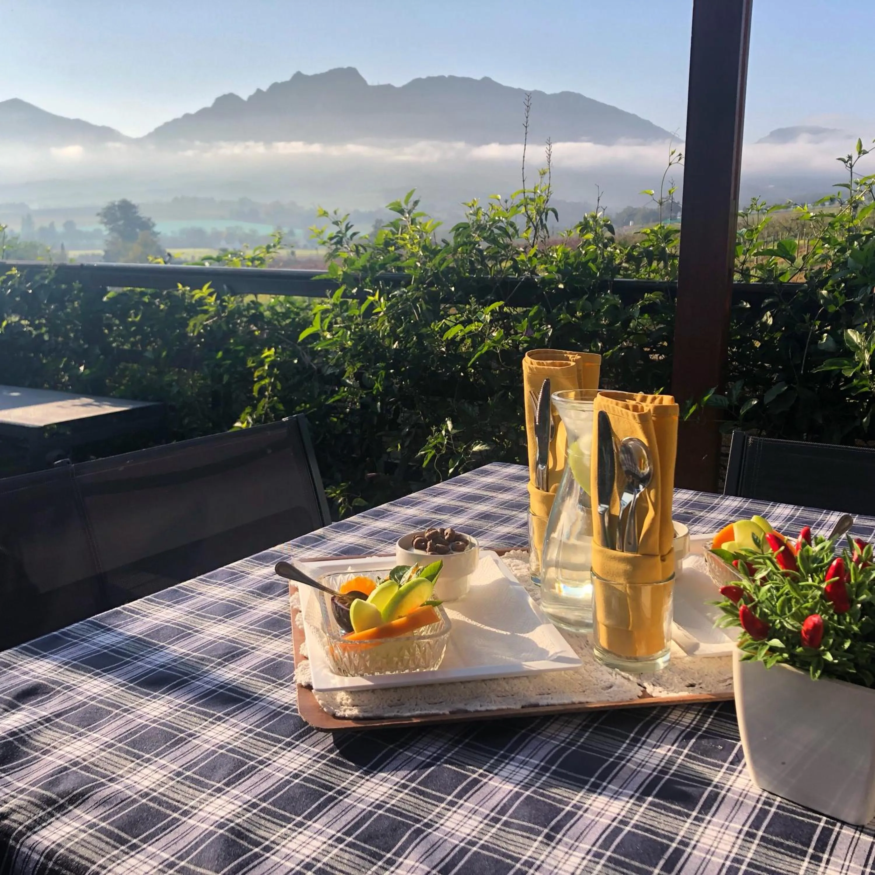 Balcony/Terrace in Wellington Country House