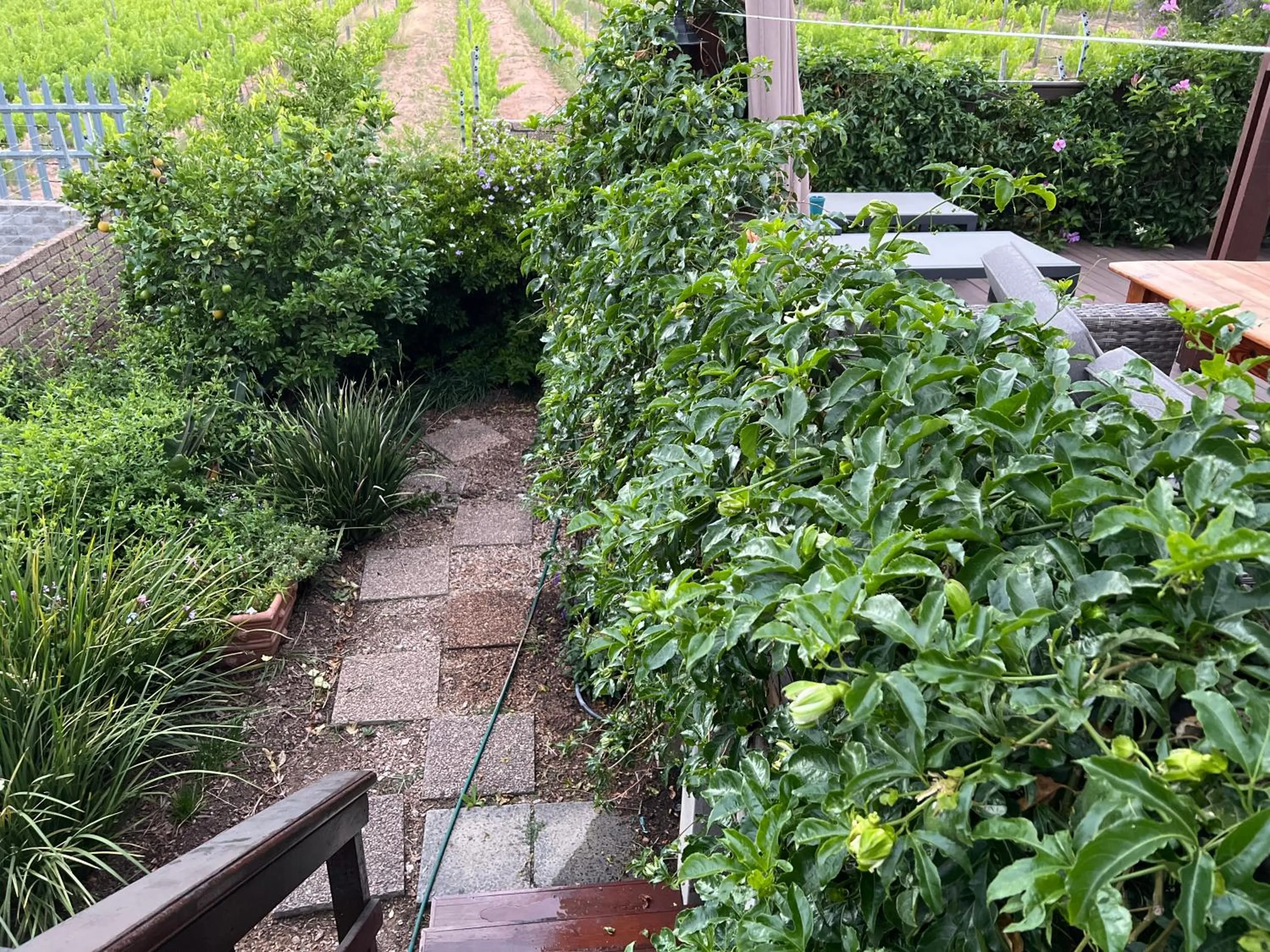 Garden in Wellington Country House